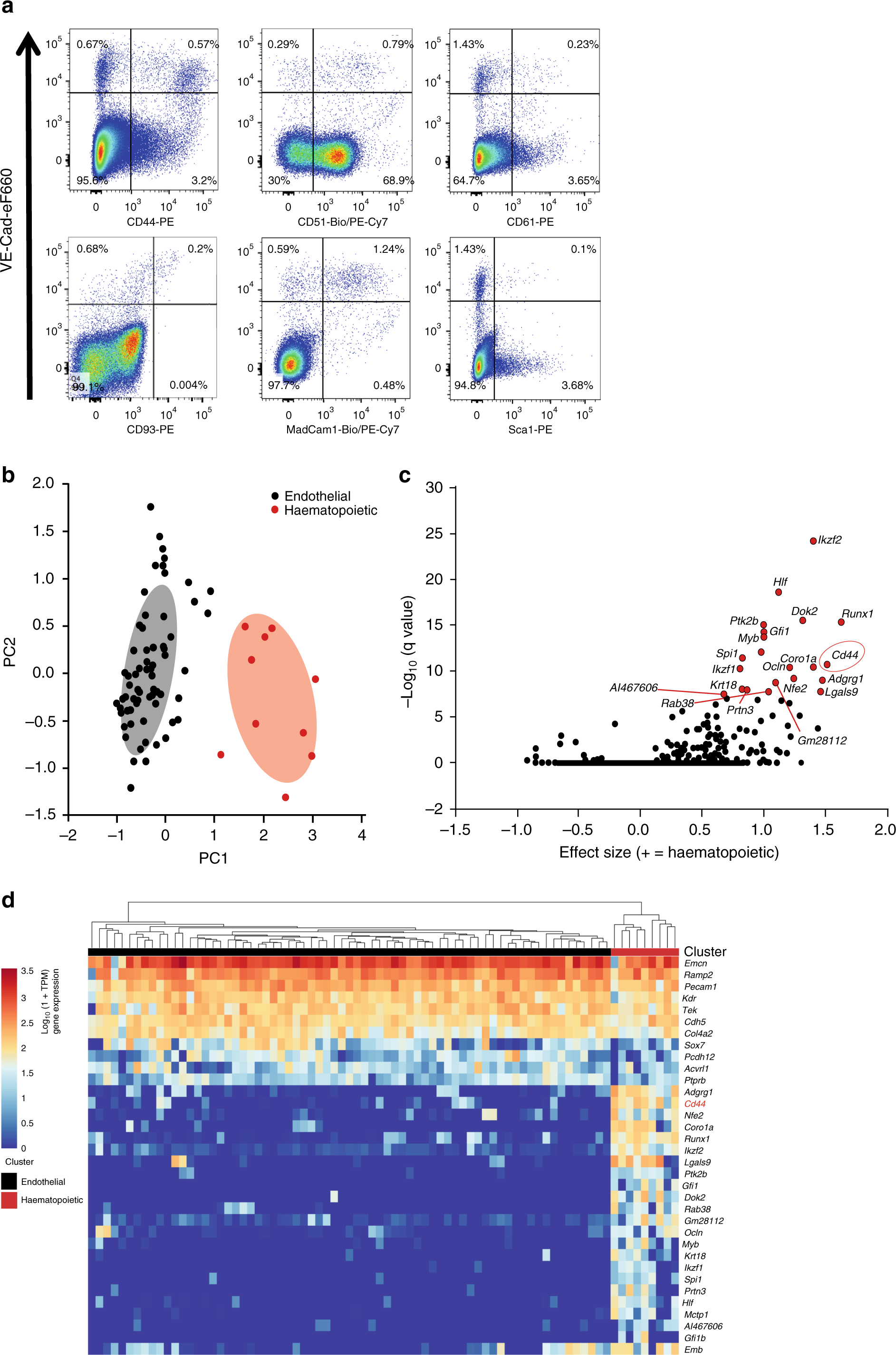 Single-cell transcriptomics identifies CD44 as a marker and regulator of  endothelial to haematopoietic transition | Nature Communications