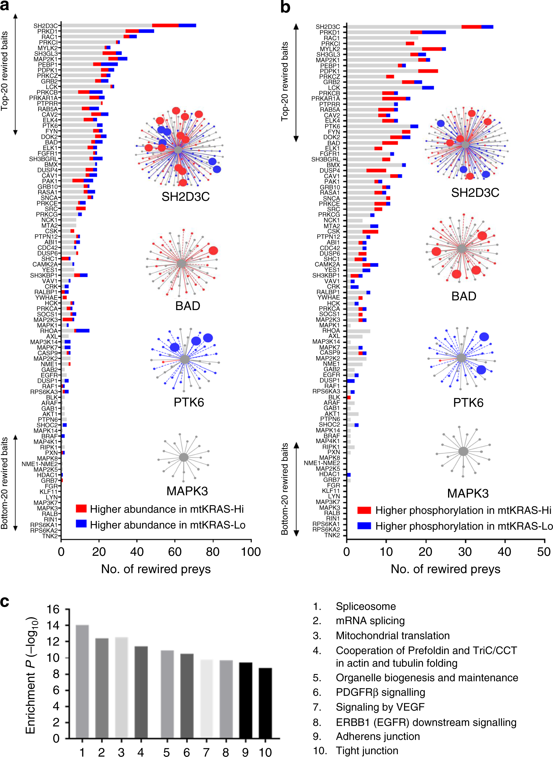 Fig. 3: Potential drivers of the EGFR PPI network rewiring.