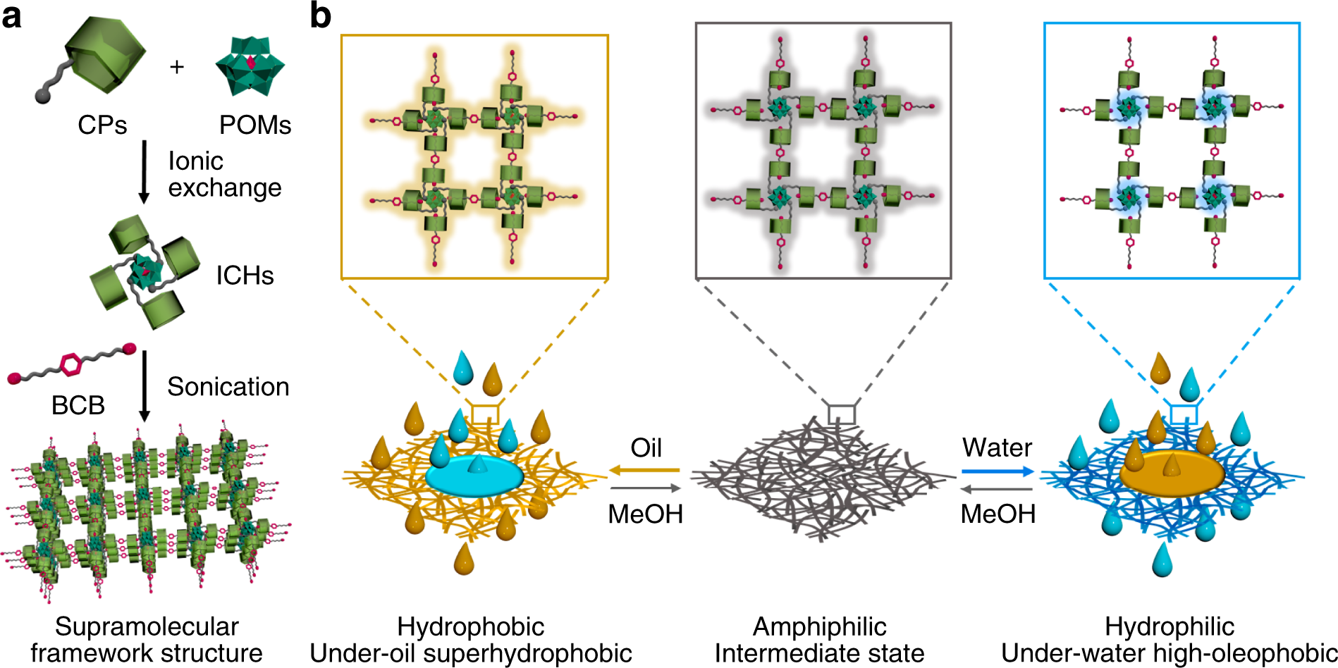 Macroscopic covalent organic framework architectures for water