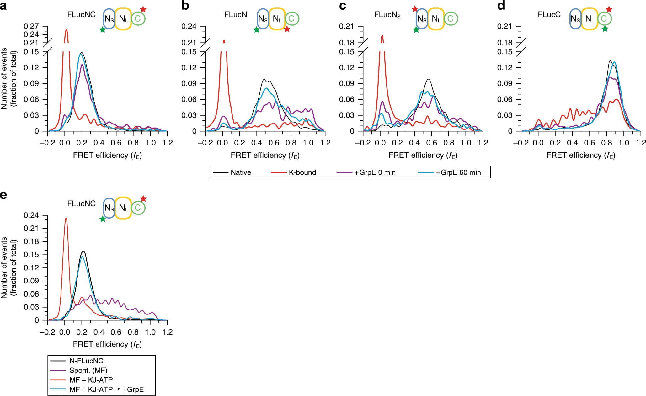 Fig. 4: KJE reverses misfolding and commits bound protein to fast folding.