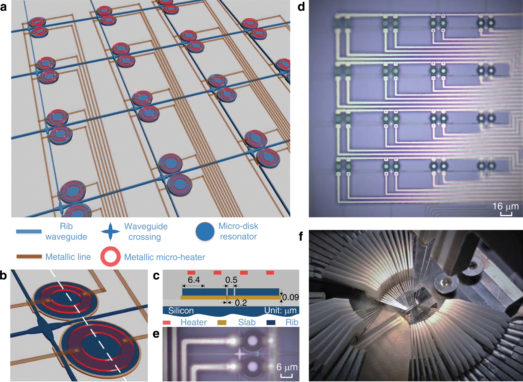 Photonic integrated field-programmable disk array signal processor | Nature  Communications