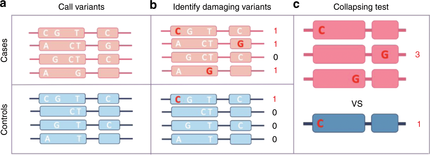 Genome Wide Rare Variant Analysis For Thousands Of Phenotypes In Over 70 000 Exomes From Two Cohorts Nature Communications Genome Wide Rare Variant Analysis For Thousands Of Phenotypes In Over 70 000 Exomes From Two Cohorts Nature Communications
