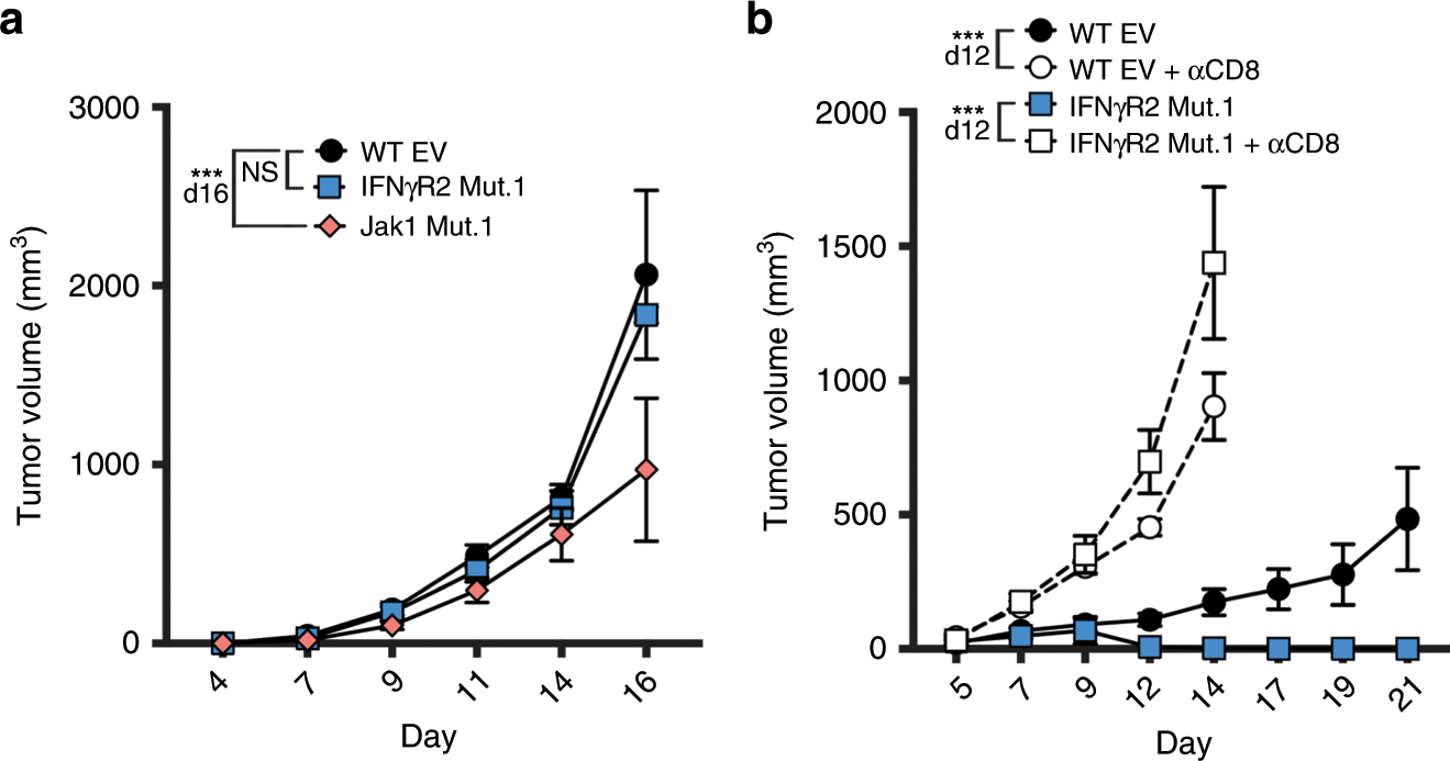 Fig. 3: CD8+ T cells are required for the spontaneous control of IFN-γ-insensitive tumors.