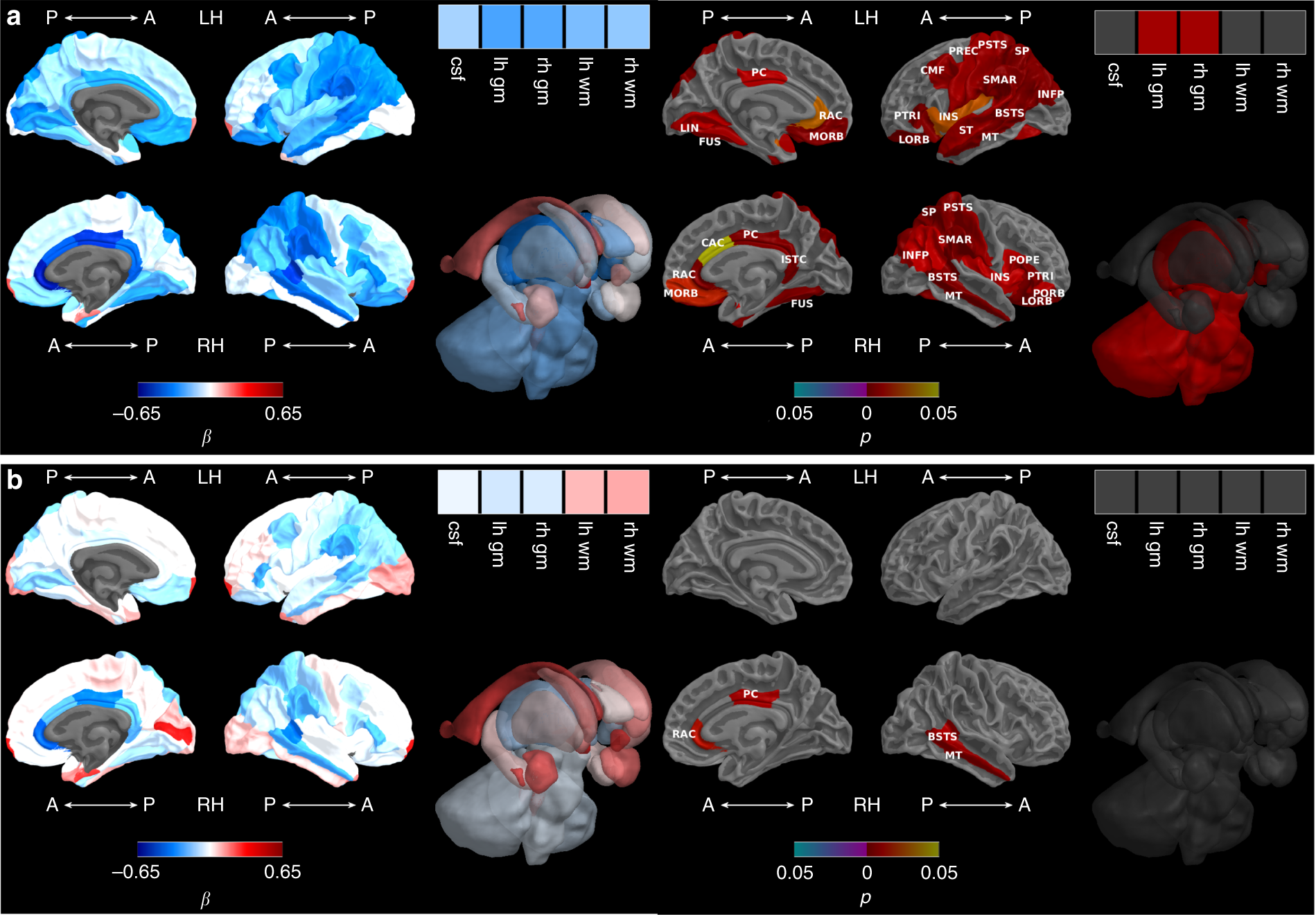 Brain and Behavior: Vol 13, No 9