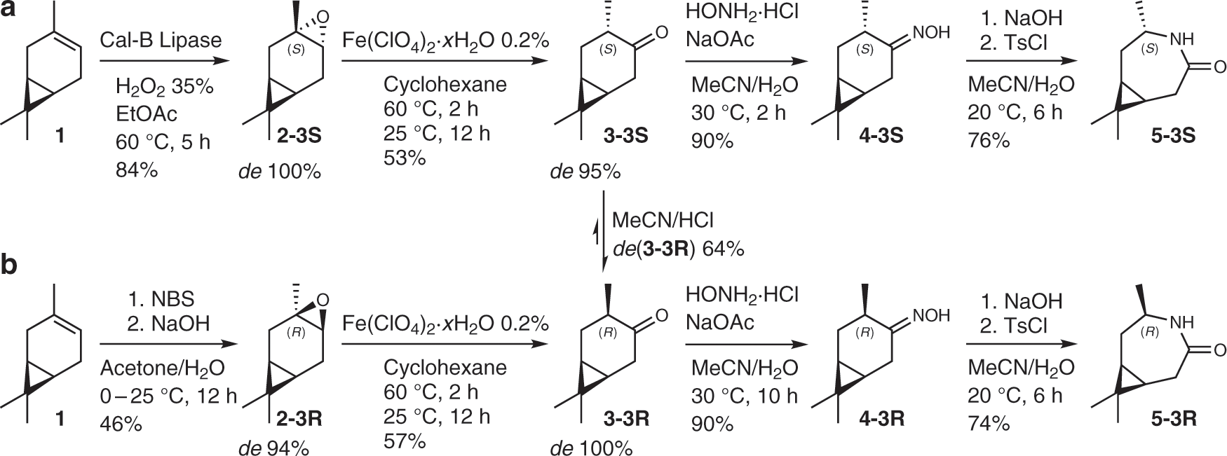 Fig. 1: Monomer synthesis overview.