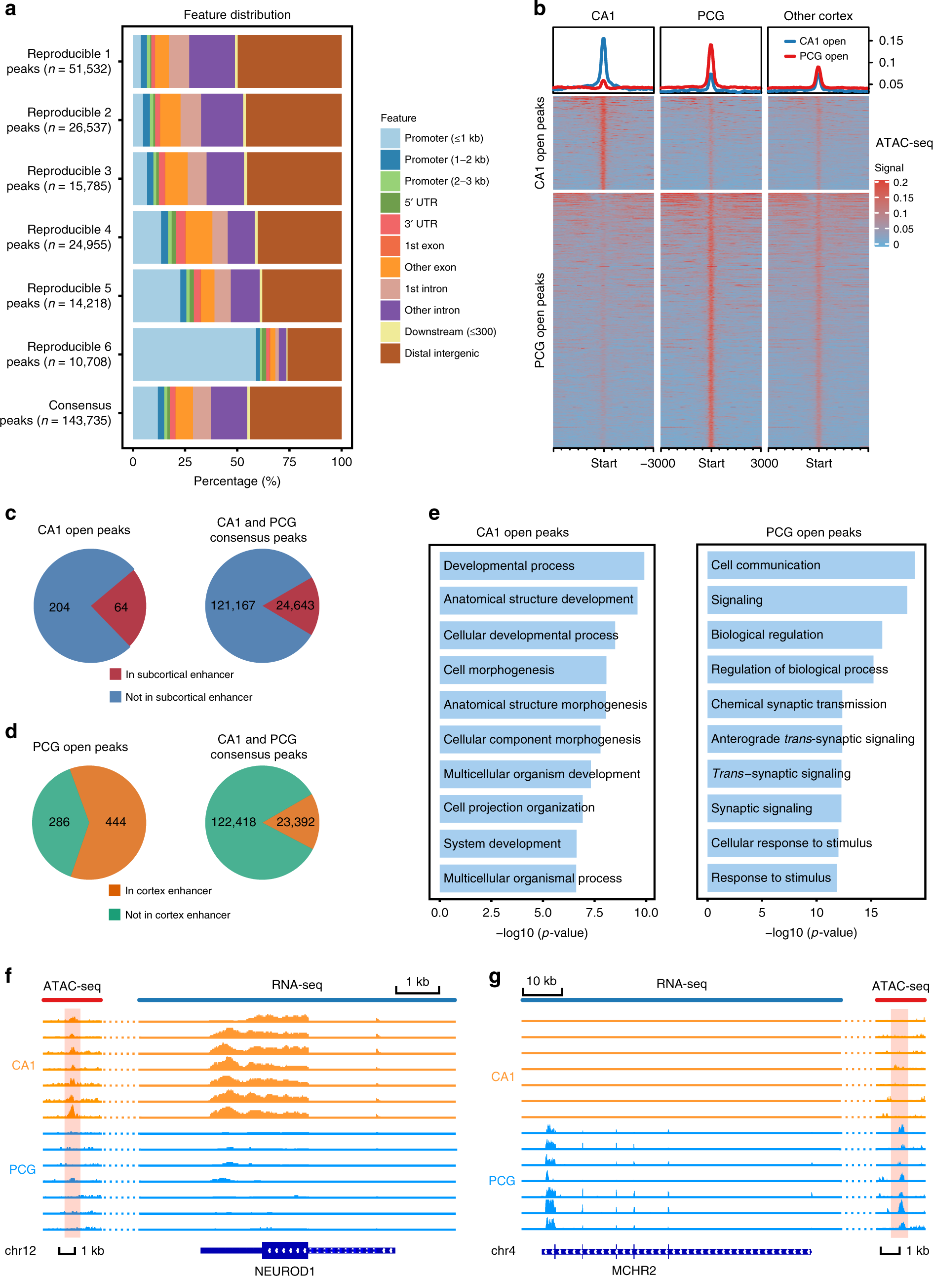 Fig. 5: Differential analysis of chromatin accessibility.