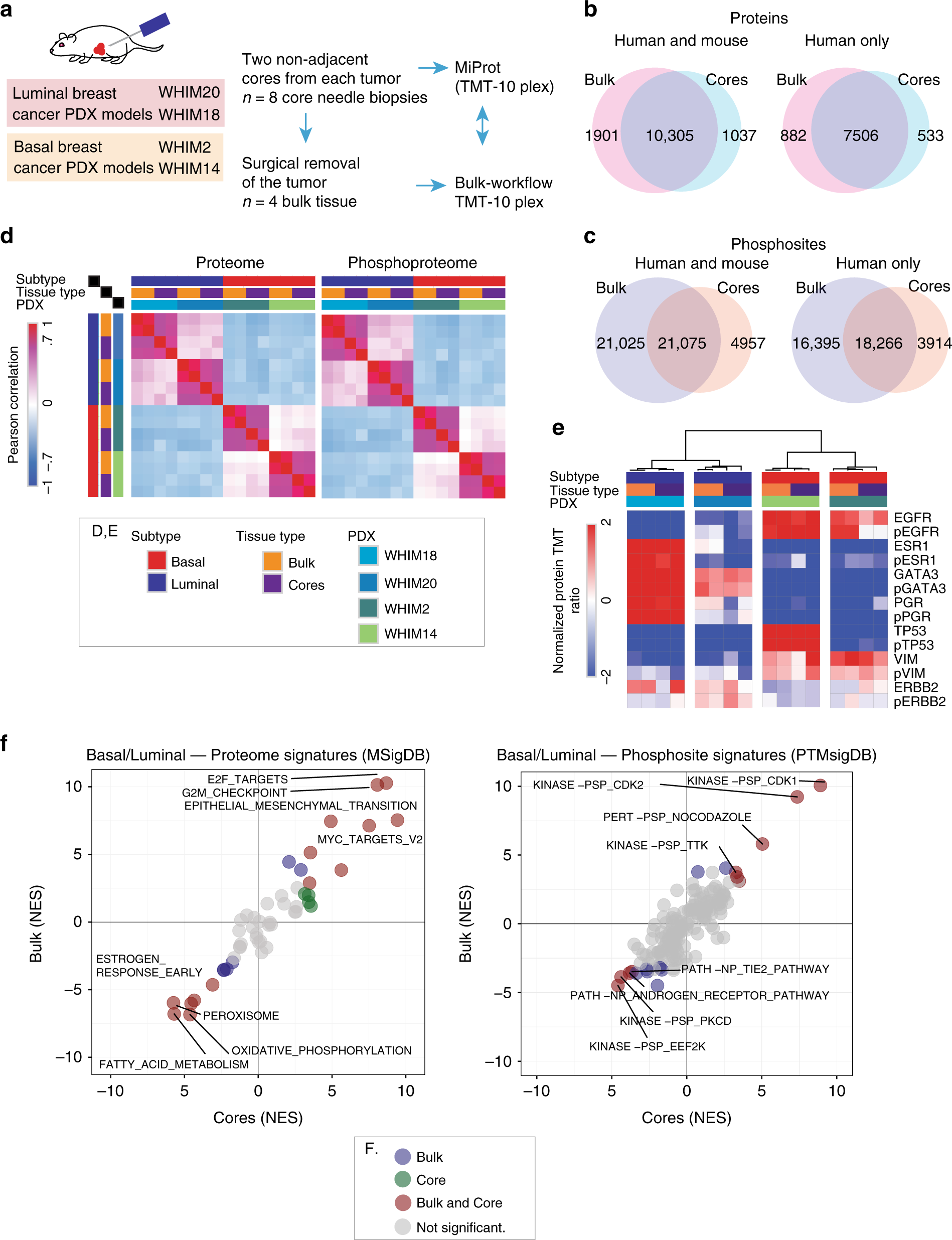 Fig. 2: Evaluation of the BioText and MiProt workflow on preclinical PDX models.
