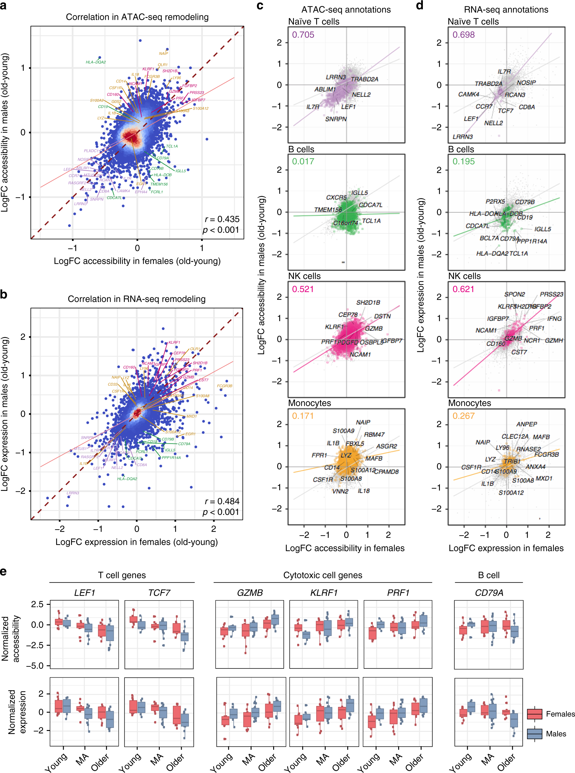 Fig. 3: Sex-dimorphic changes in monocyte- and B cell-associated loci.