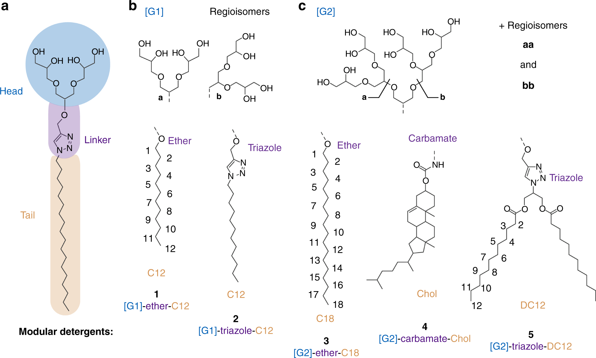 Modular detergents tailor the purification and structural analysis of  membrane proteins including G-protein coupled receptors | Nature  Communications