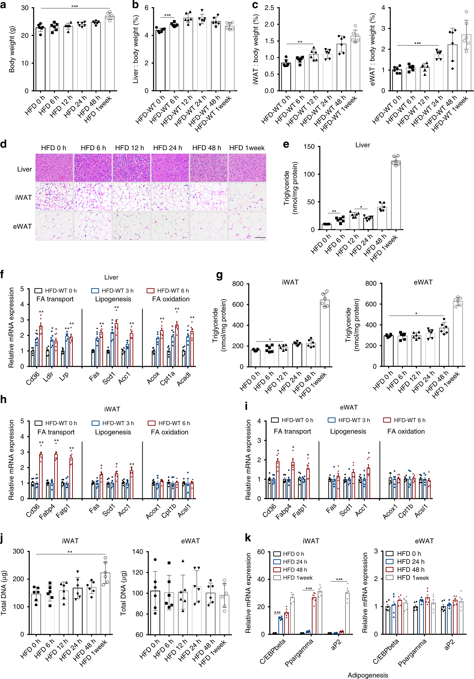 In Vivo Real-Time Imaging of Extracellular Vesicles in Liver