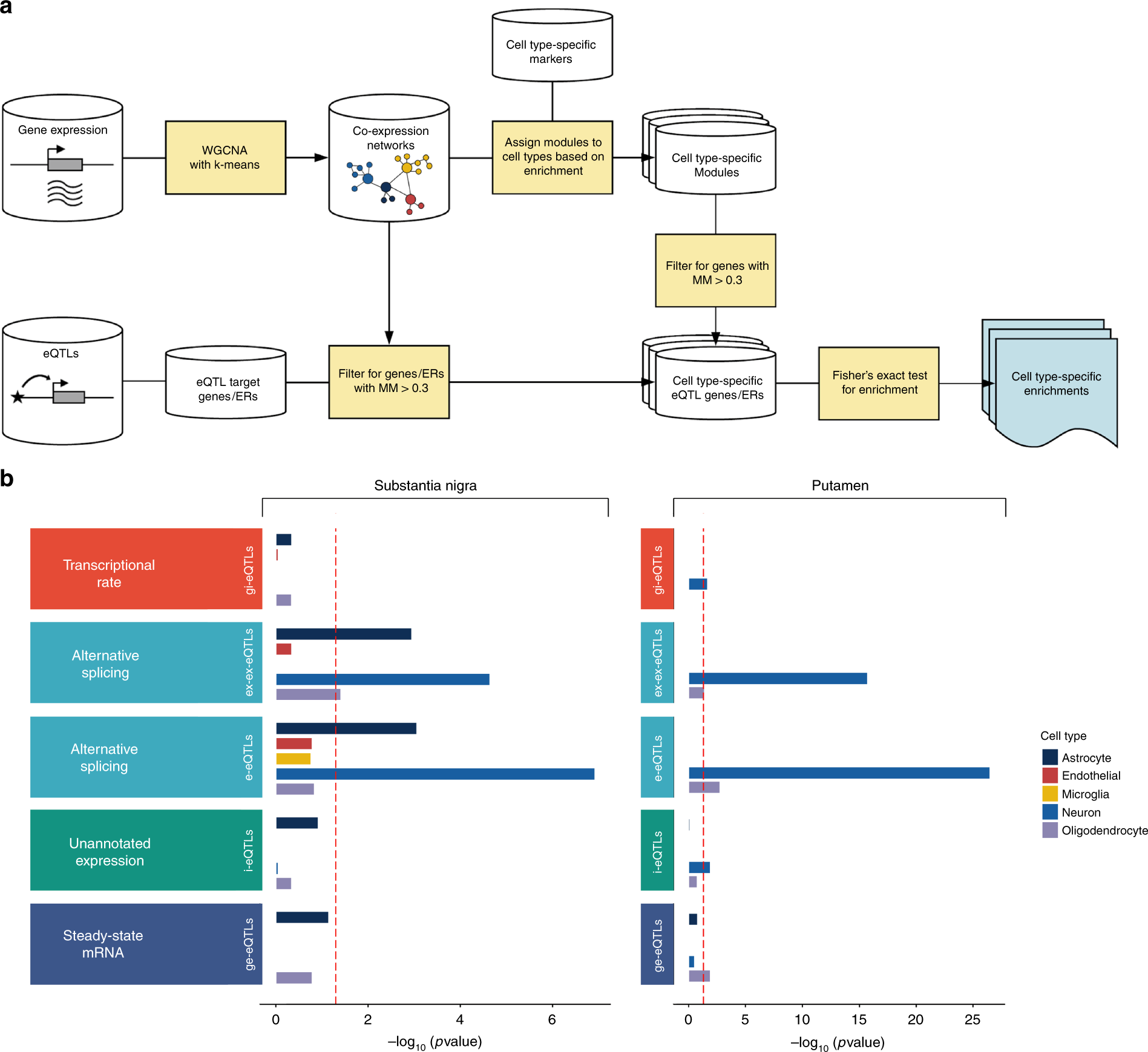 Fig. 4: Non-standard eQTL analyses produce additional biologically relevant information.