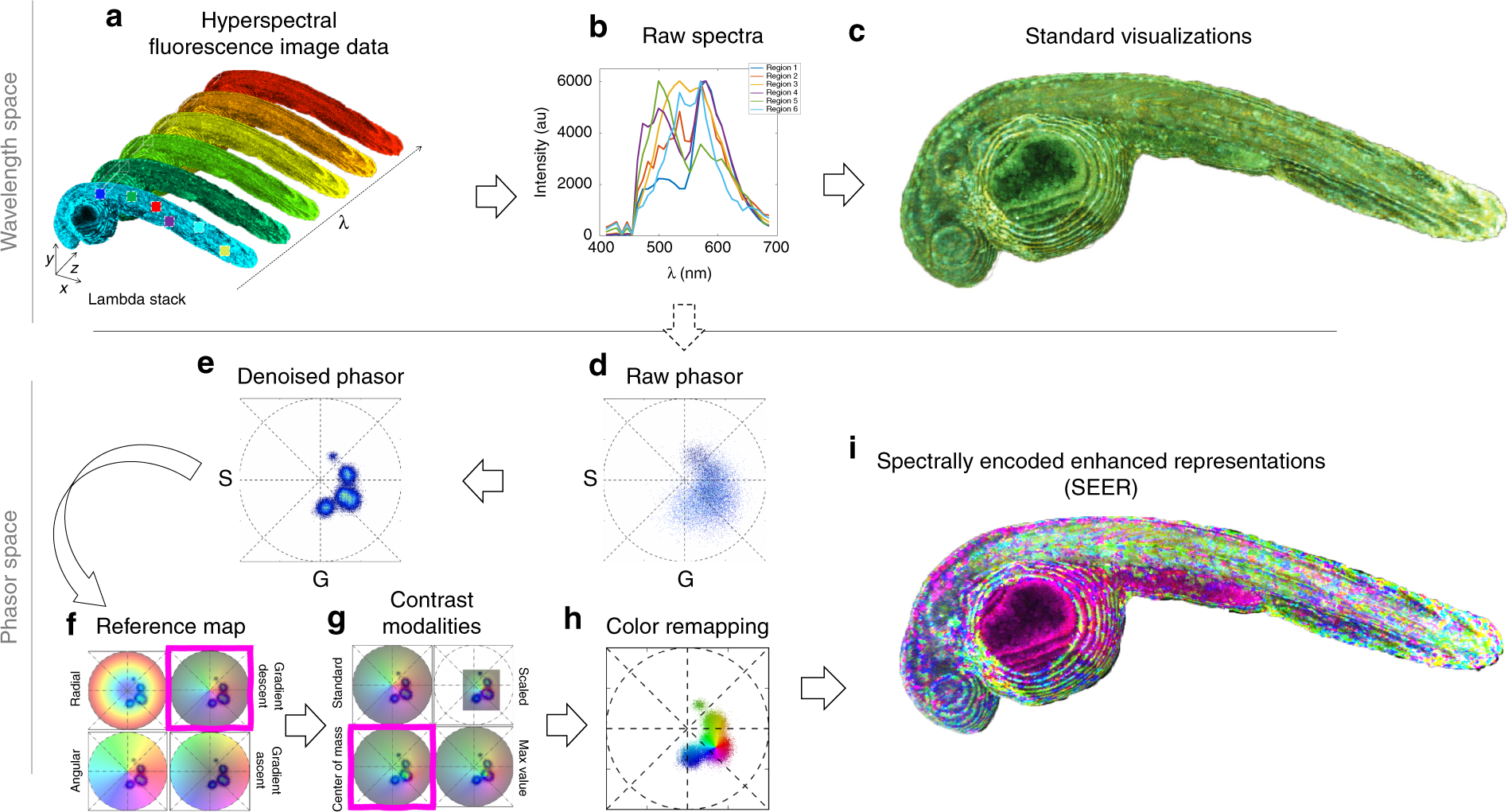 Color for data visualization - Spectrum