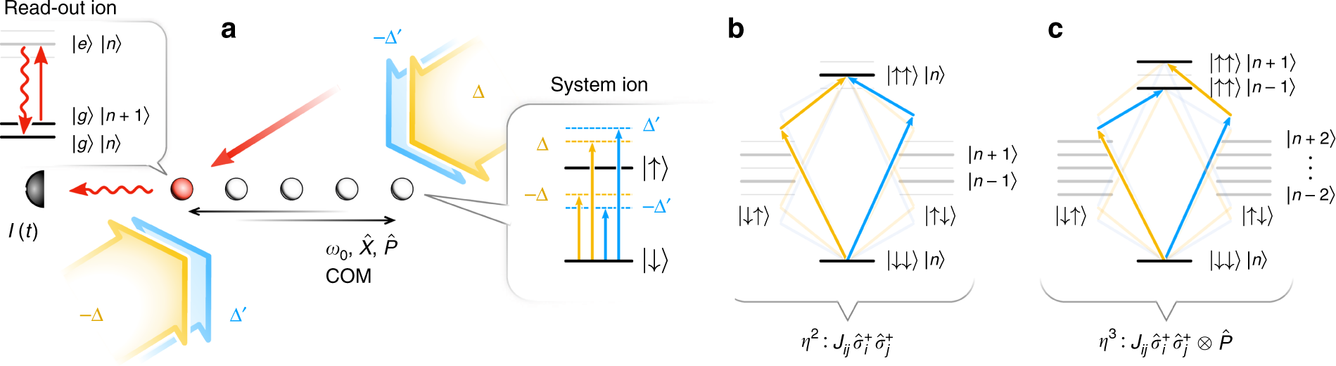 Fig. 2: Trapped-ion implementation of the system-meter Hamiltonian 
                        
                          
                        
                        $${\hat{H}}_{{\mathcal{SM}}}$$
                        
                          
                            
                              
                                
                                  H
                                
                                
                                  ̂
                                
                              
                            
                            
                              SM
                            
                          
                        
                      .