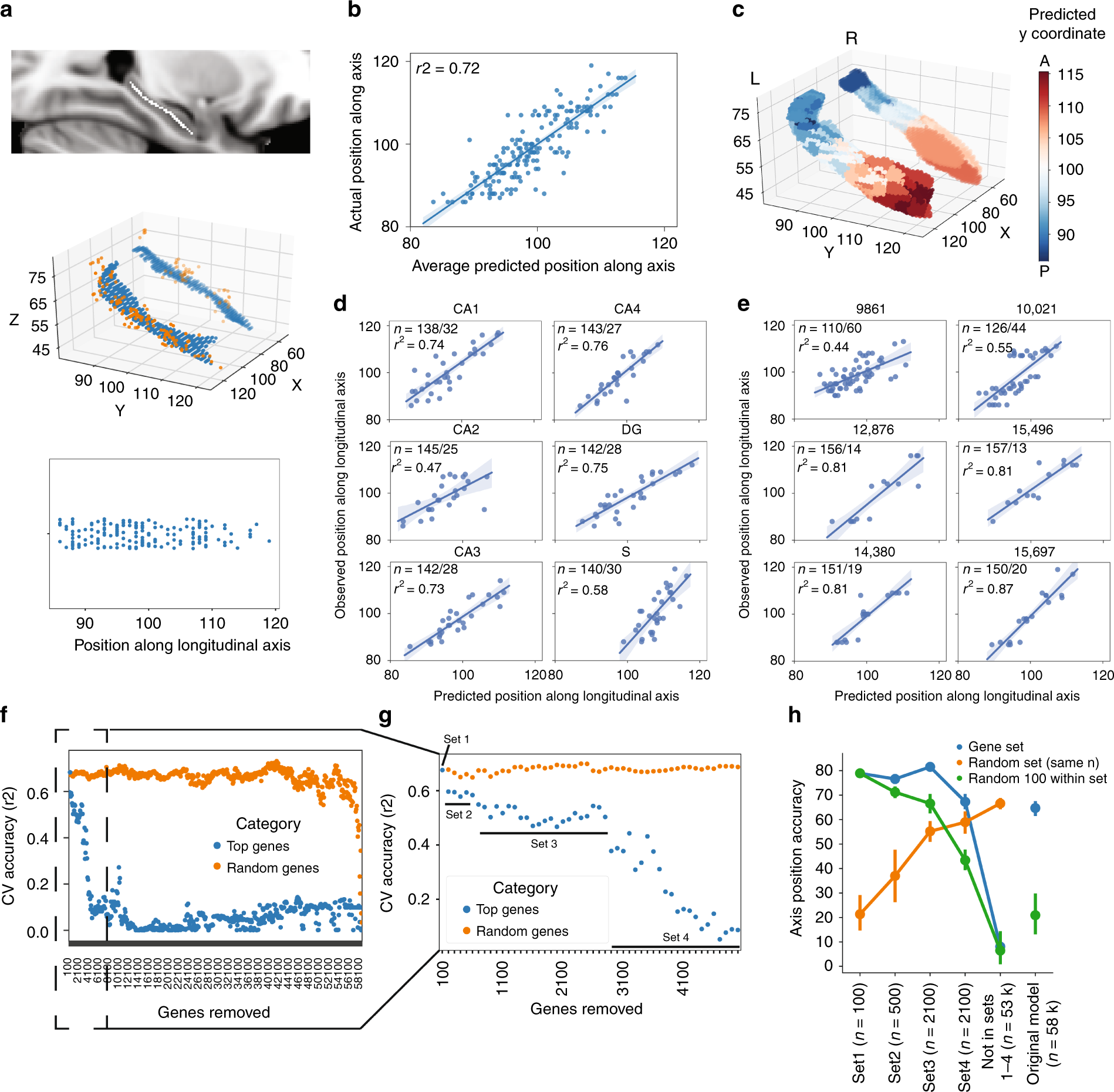 Fig. 1: Gene expression predicts the location of tissue samples along the long axis of the hippocampus.