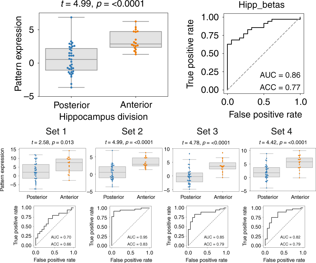 Fig. 3: Model trained on adult hippocampus predicts location of samples from prenatal hippocampus.