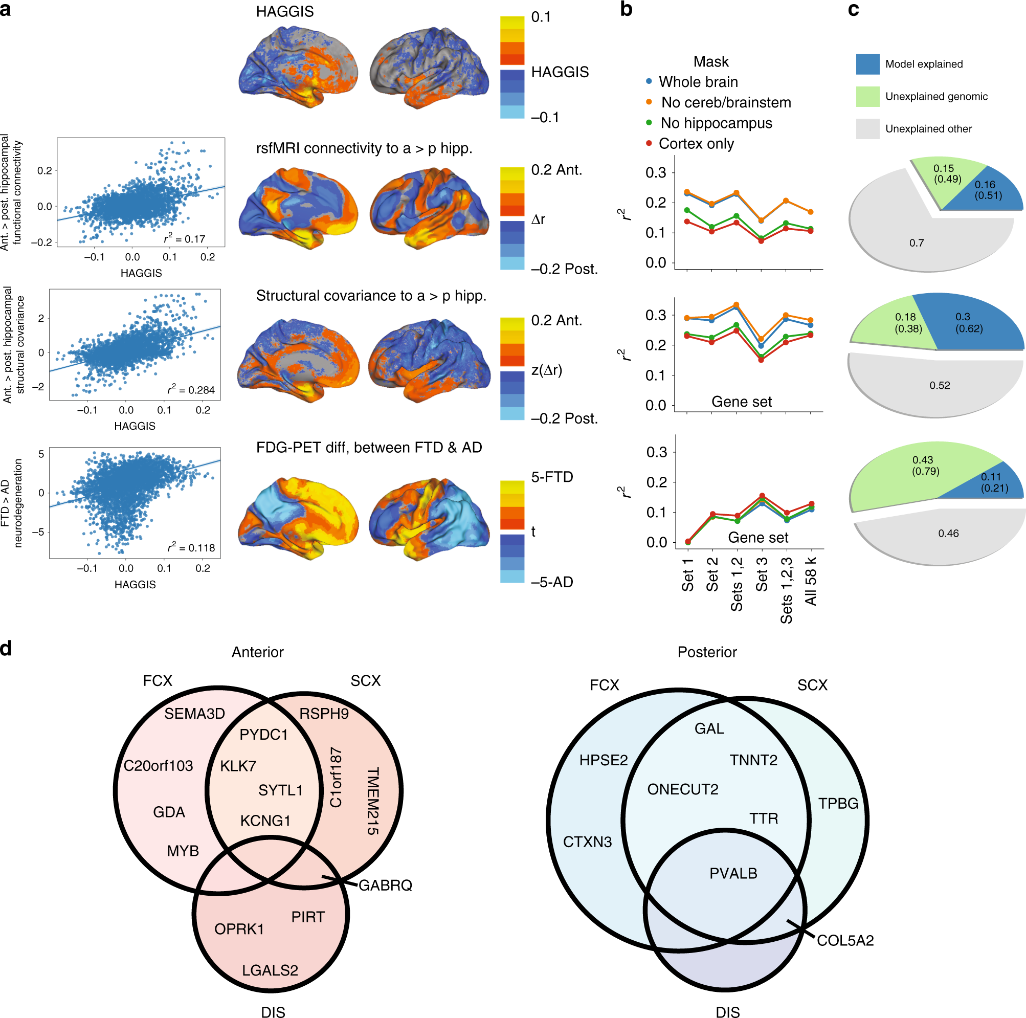 Fig. 5: HAGGIS predicts hippocampus–brain relationships.