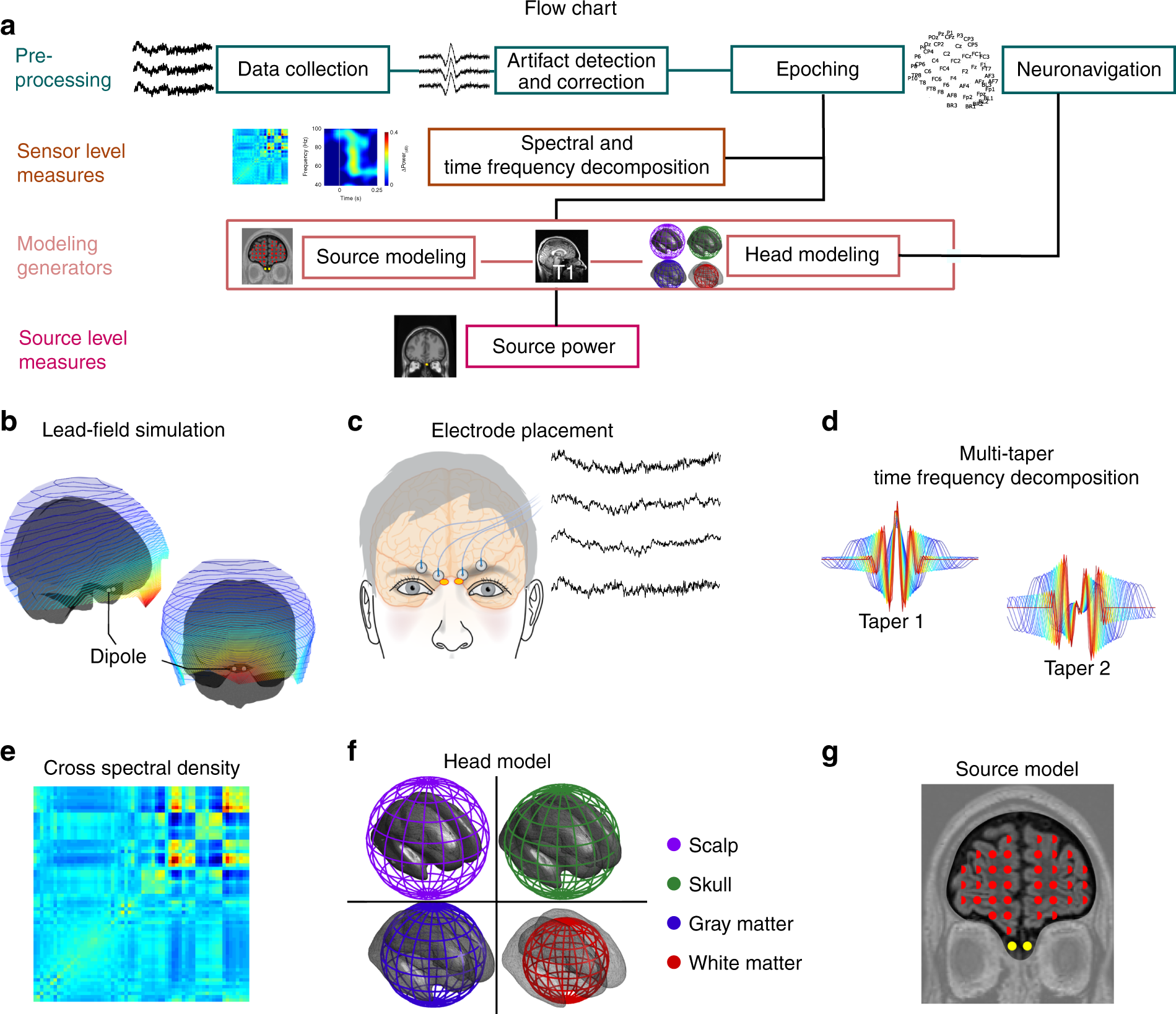 Non Invasive Recording From The Human Olfactory Bulb Nature Communications Non Invasive Recording From The Human Olfactory Bulb Nature Communications