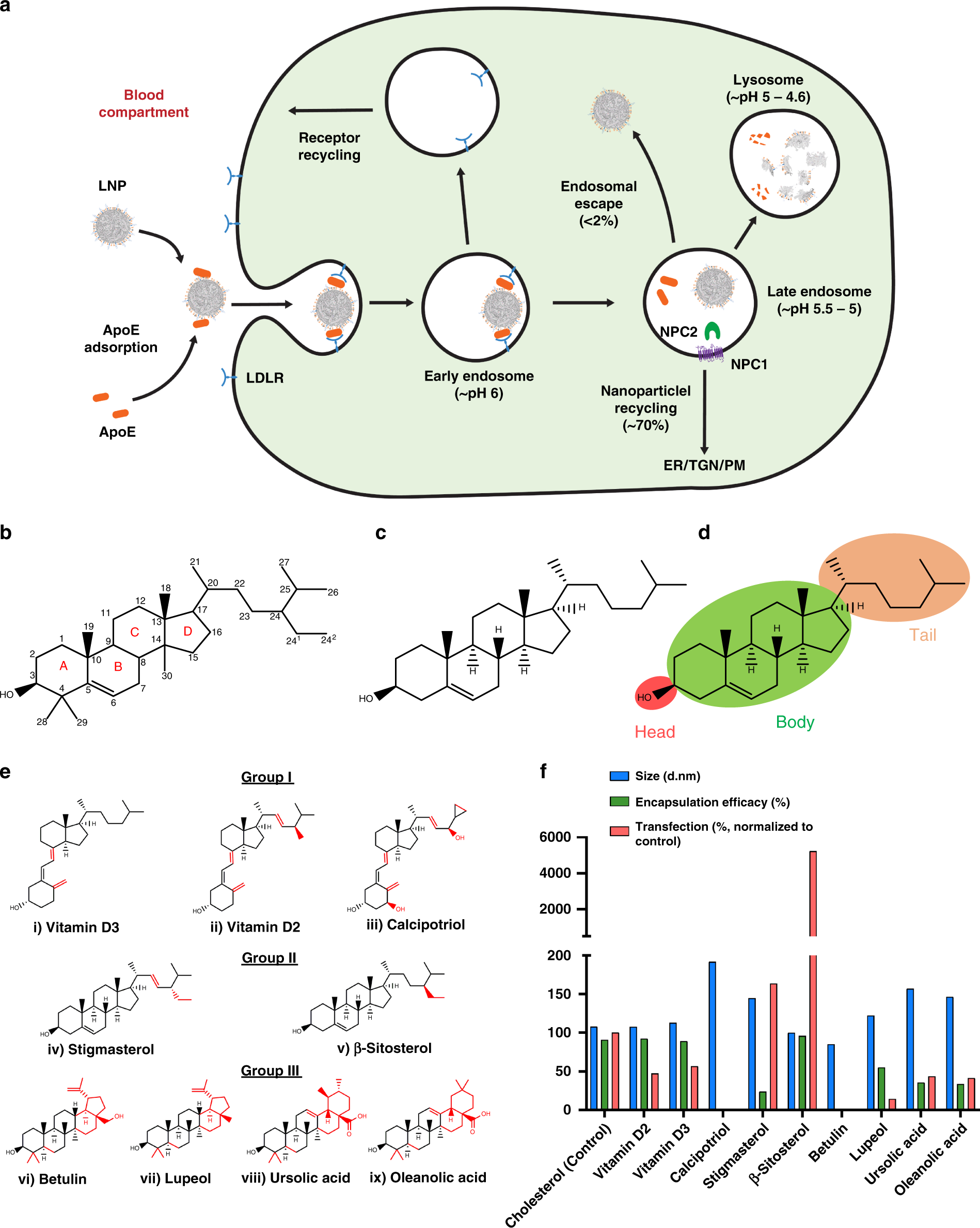 recent studies of dmg efficacy recent studies of dmg efficacy