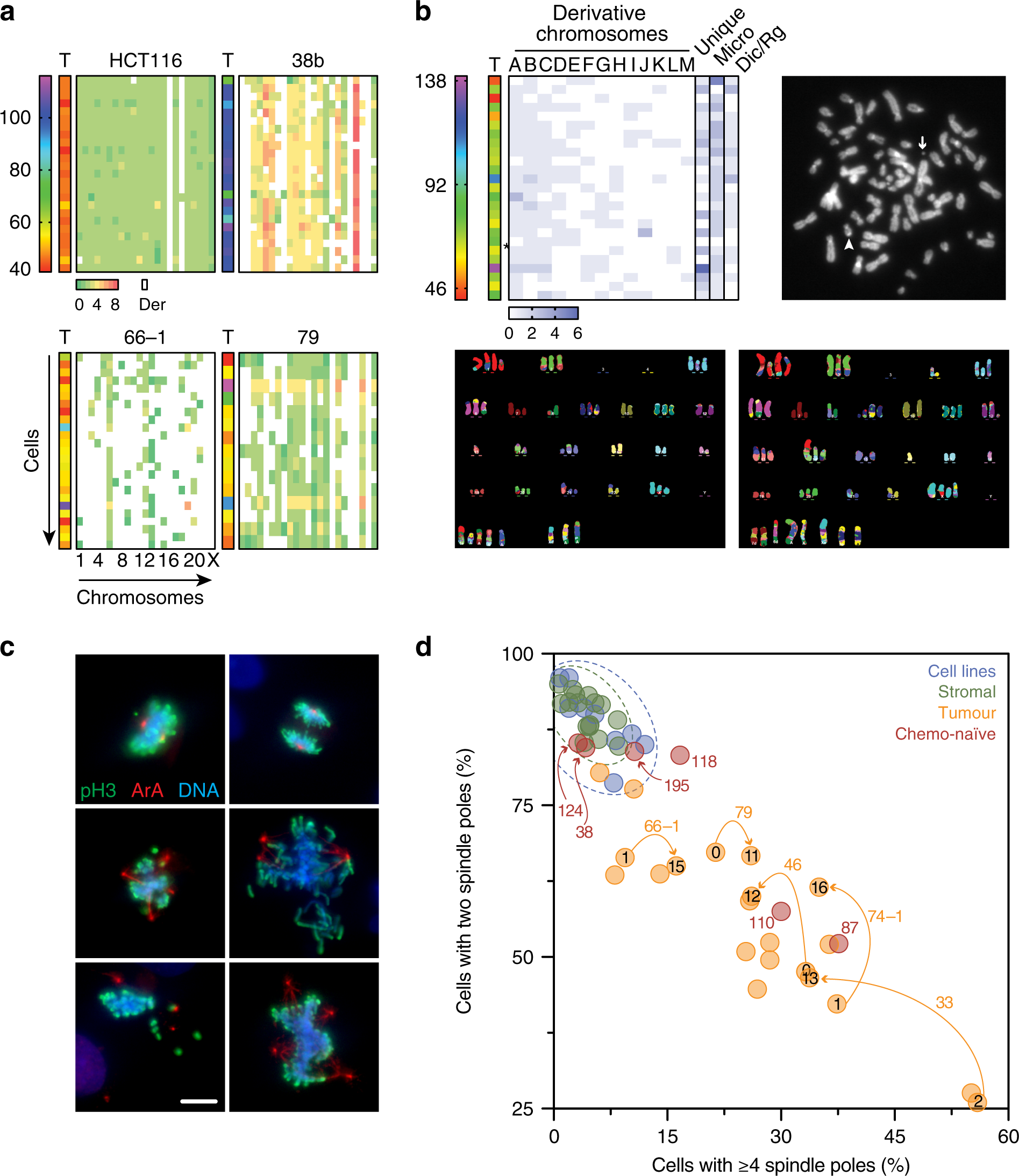 Fig. 7: M-FISH karyotyping.