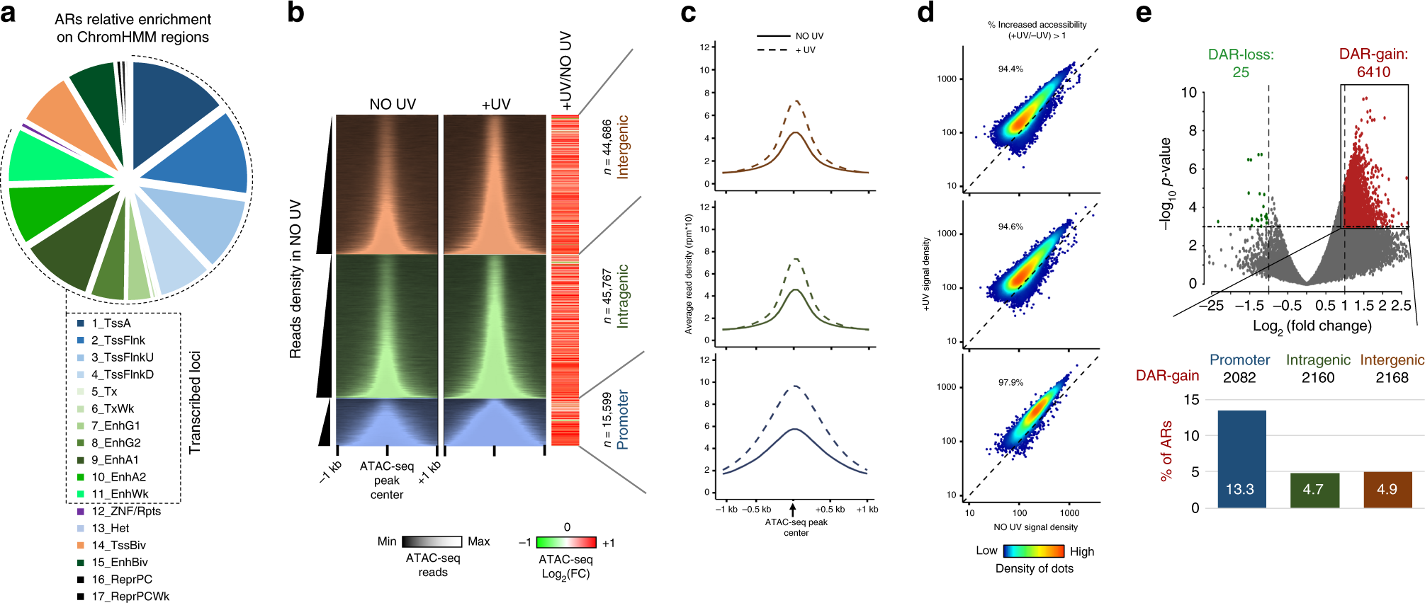 Continuous Transcription Initiation Guarantees Robust Repair Of All Transcribed Genes And Regulatory Regions Nature Communications
