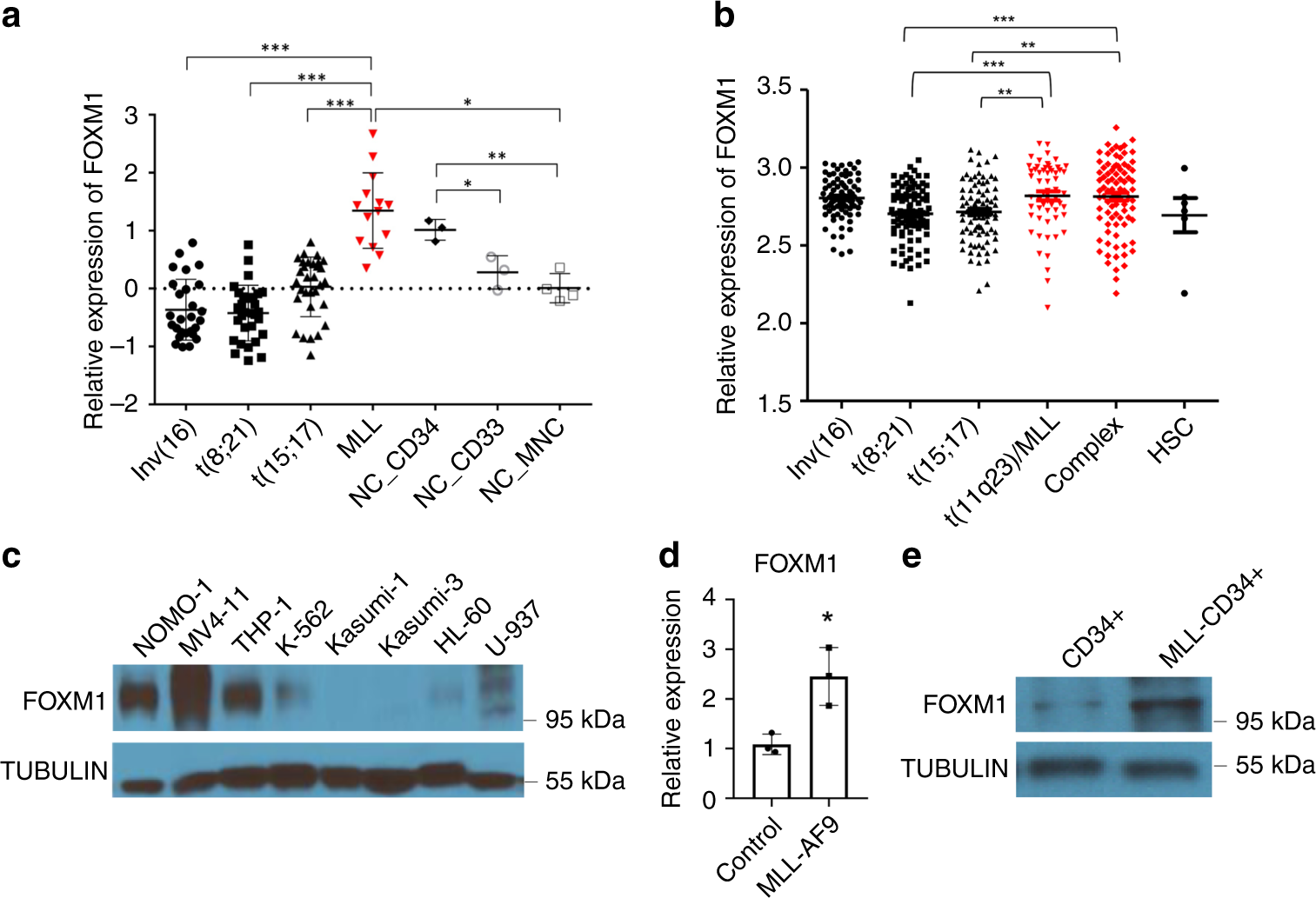 FOXM1 regulates leukemia stem cell quiescence and survival in  MLL-rearranged AML | Nature Communications