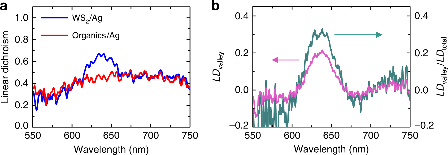 Fig. 6: Resolving the polarization induced by the valley coherence from the total polarization.