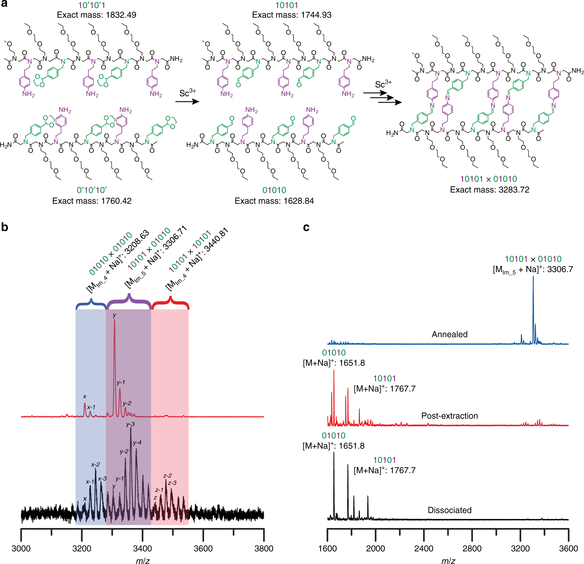 Fig. 1: Dynamic covalent assembly of encoded molecular ladders.