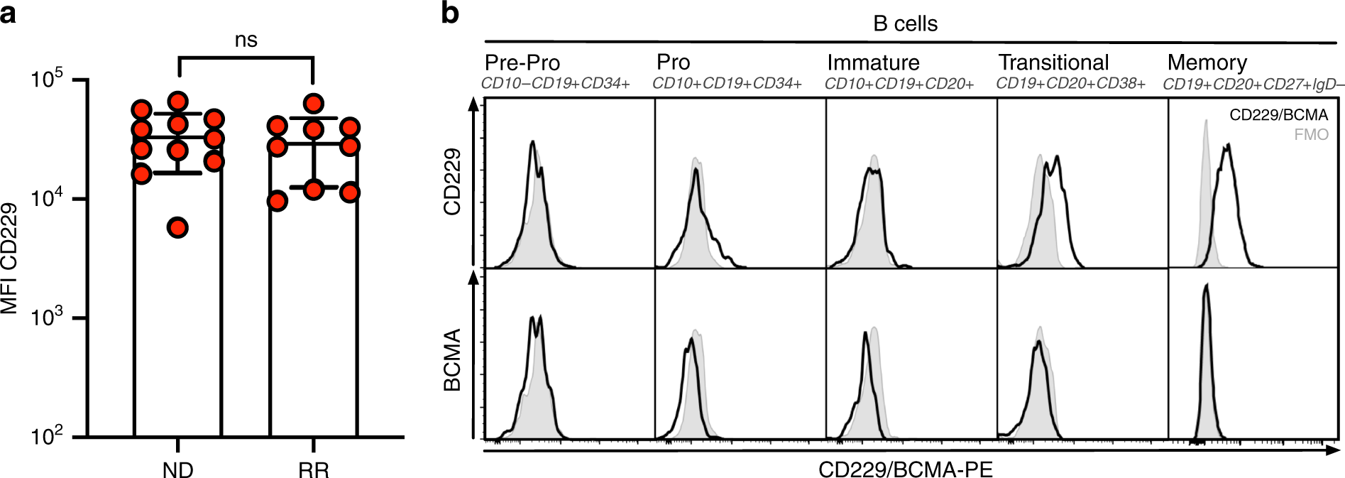 Cd229 Car T Cells Eliminate Multiple Myeloma And Tumor Propagating