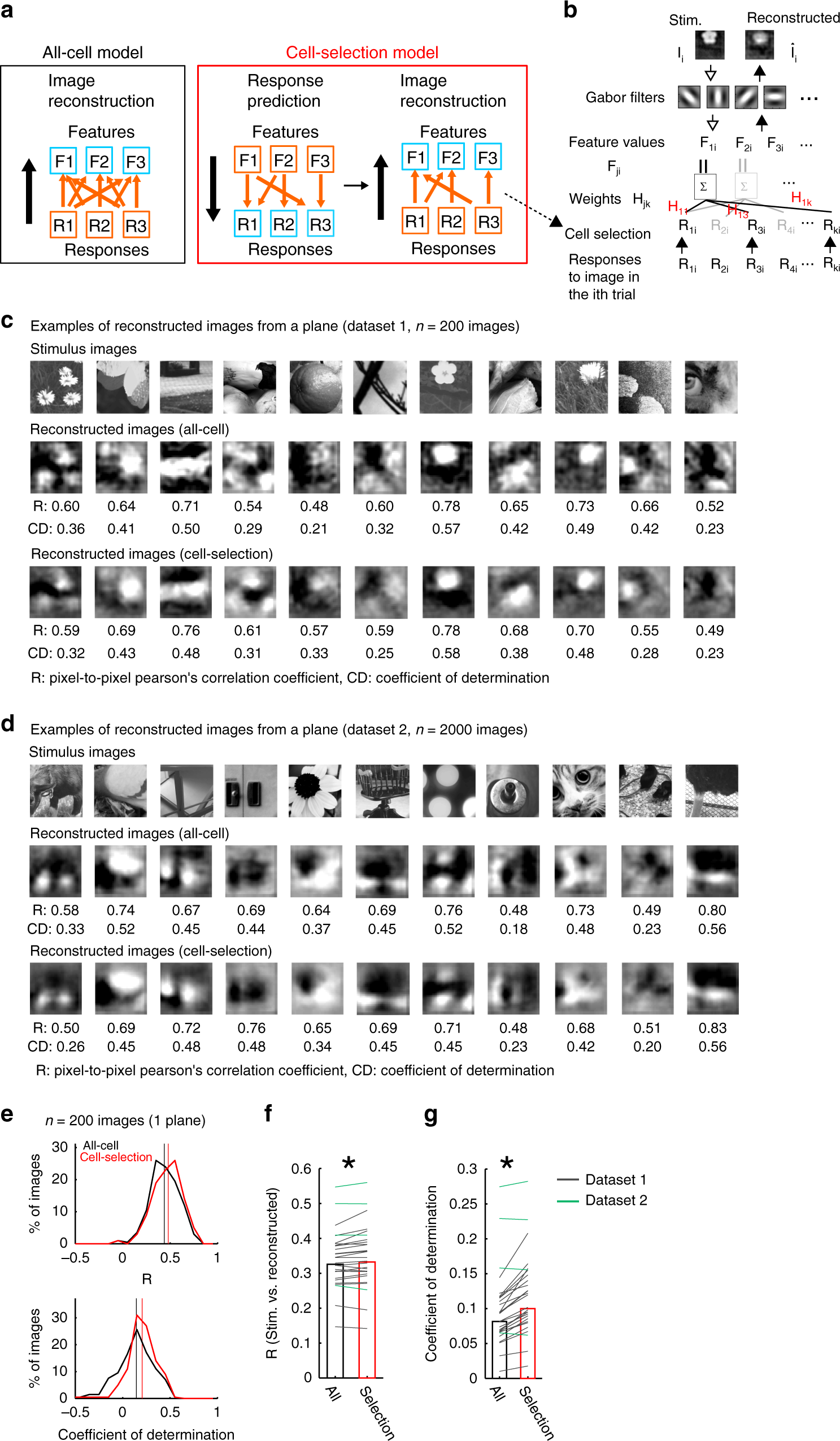 Fig. 3: Image reconstruction from population activity.