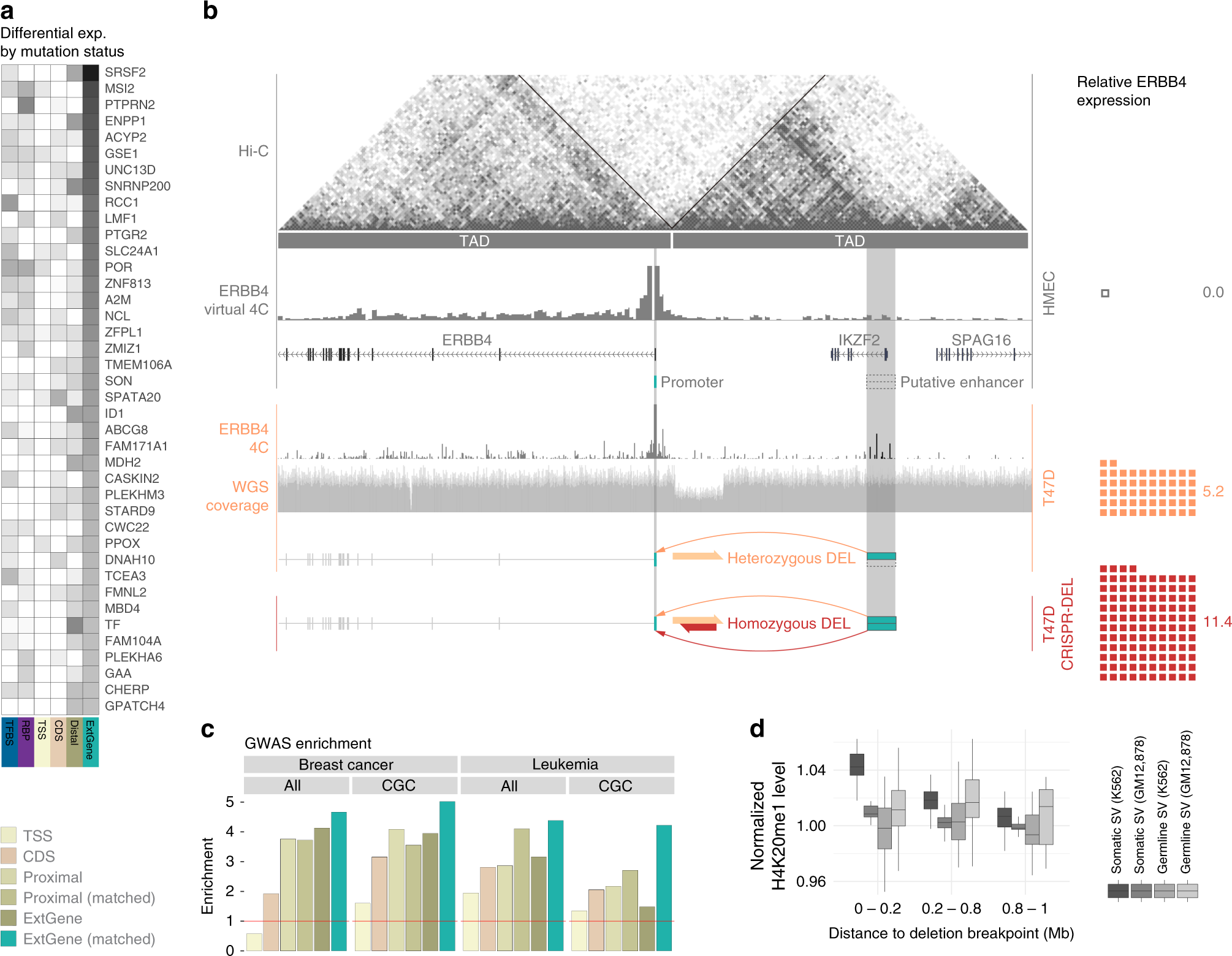 Fig. 5: Extended genes and mutation burden analysis.