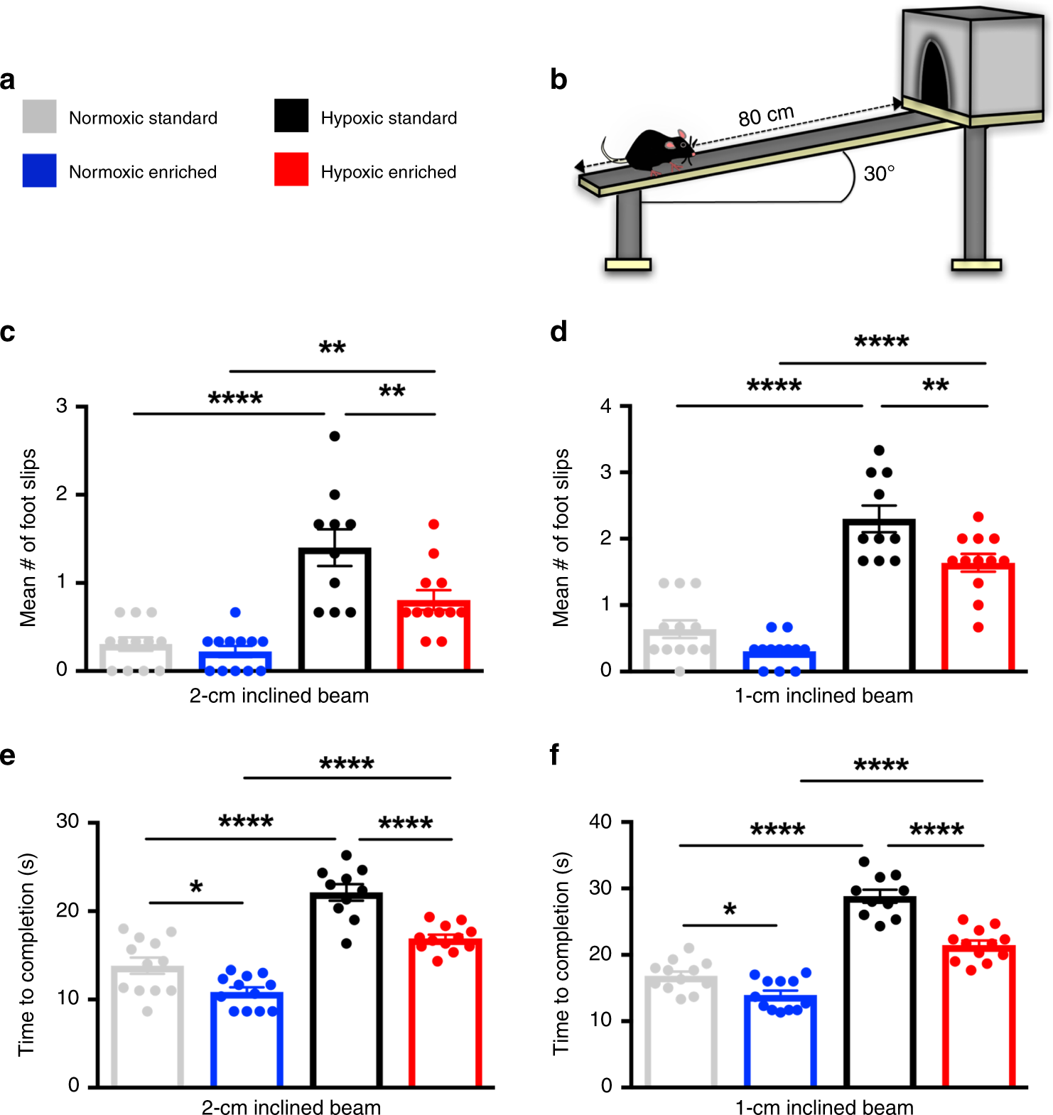 Fig. 3: Environmental enrichment promotes functional recovery after perinatal brain injury.