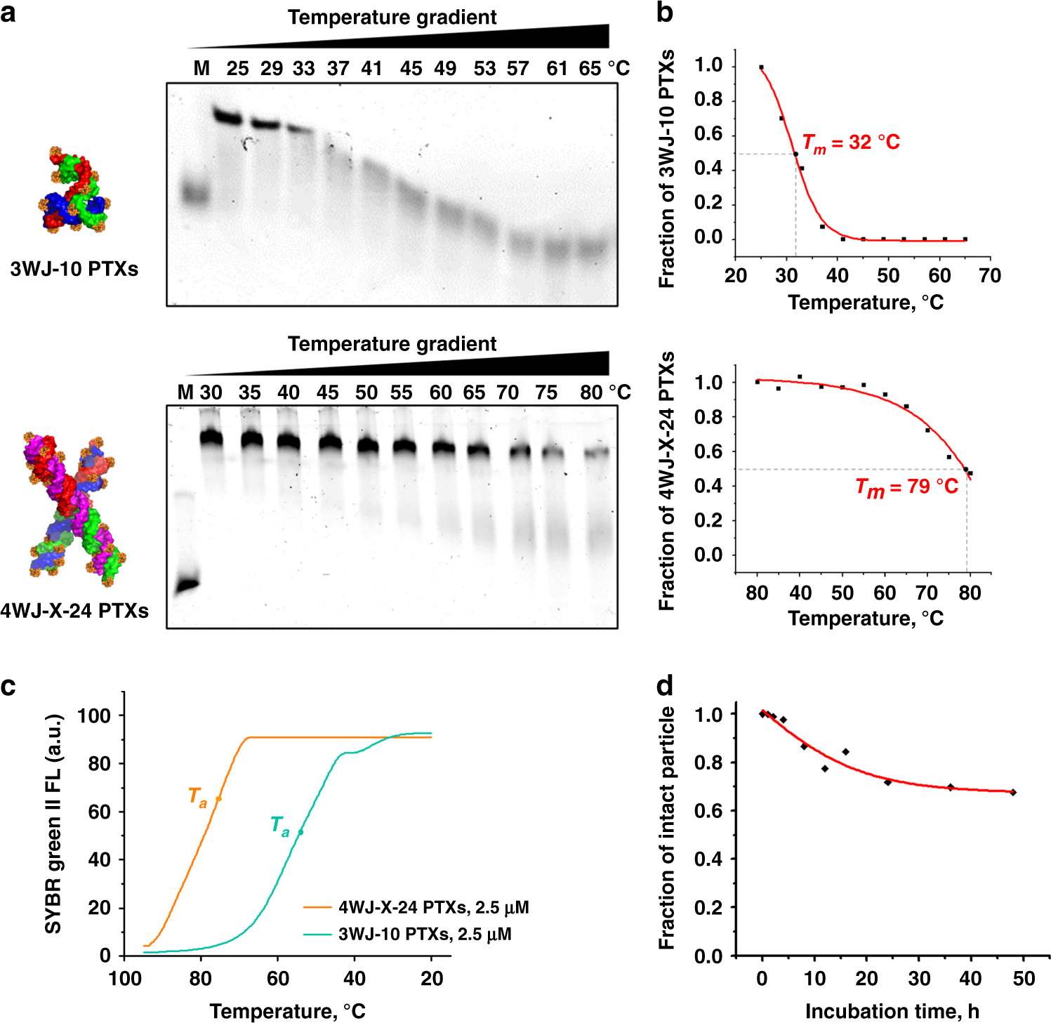 Fig. 4: Thermodynamic and chemical stability of 4WJ-X-24 PTXs nanoparticles.