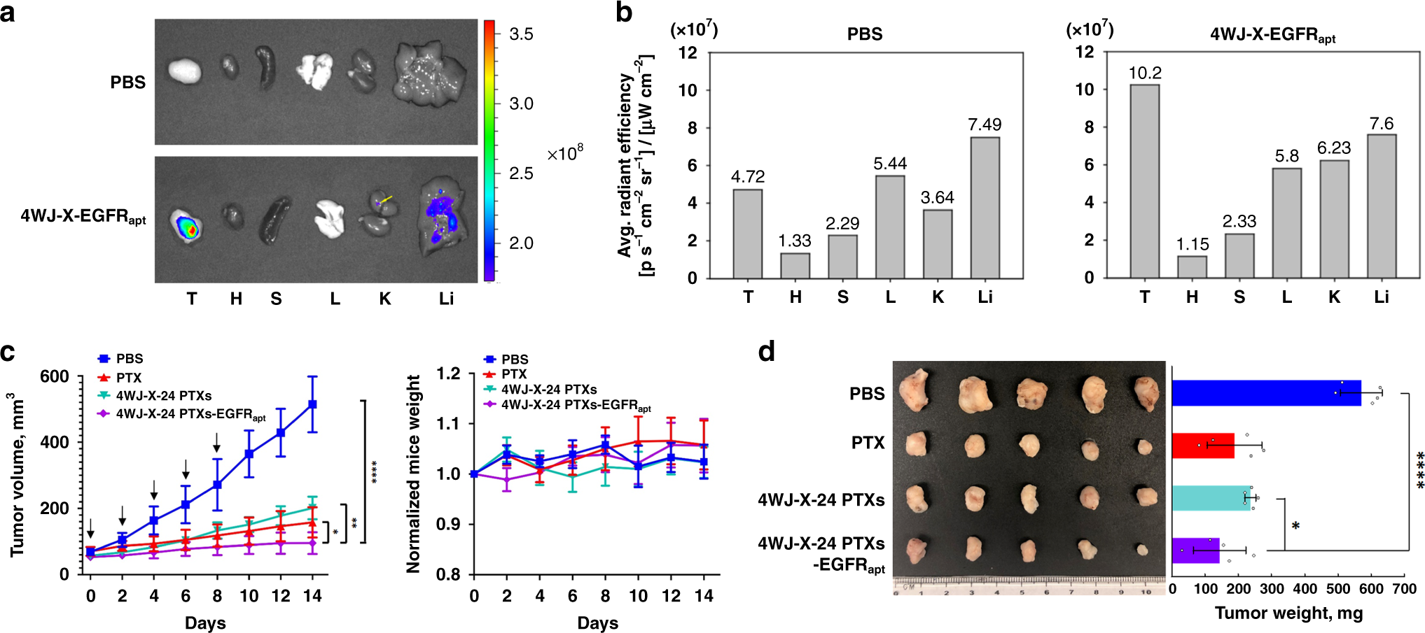 Fig. 6: In vivo biodistribution and tumor inhibition of 4WJ-X-24 PTXs nanoparticles.