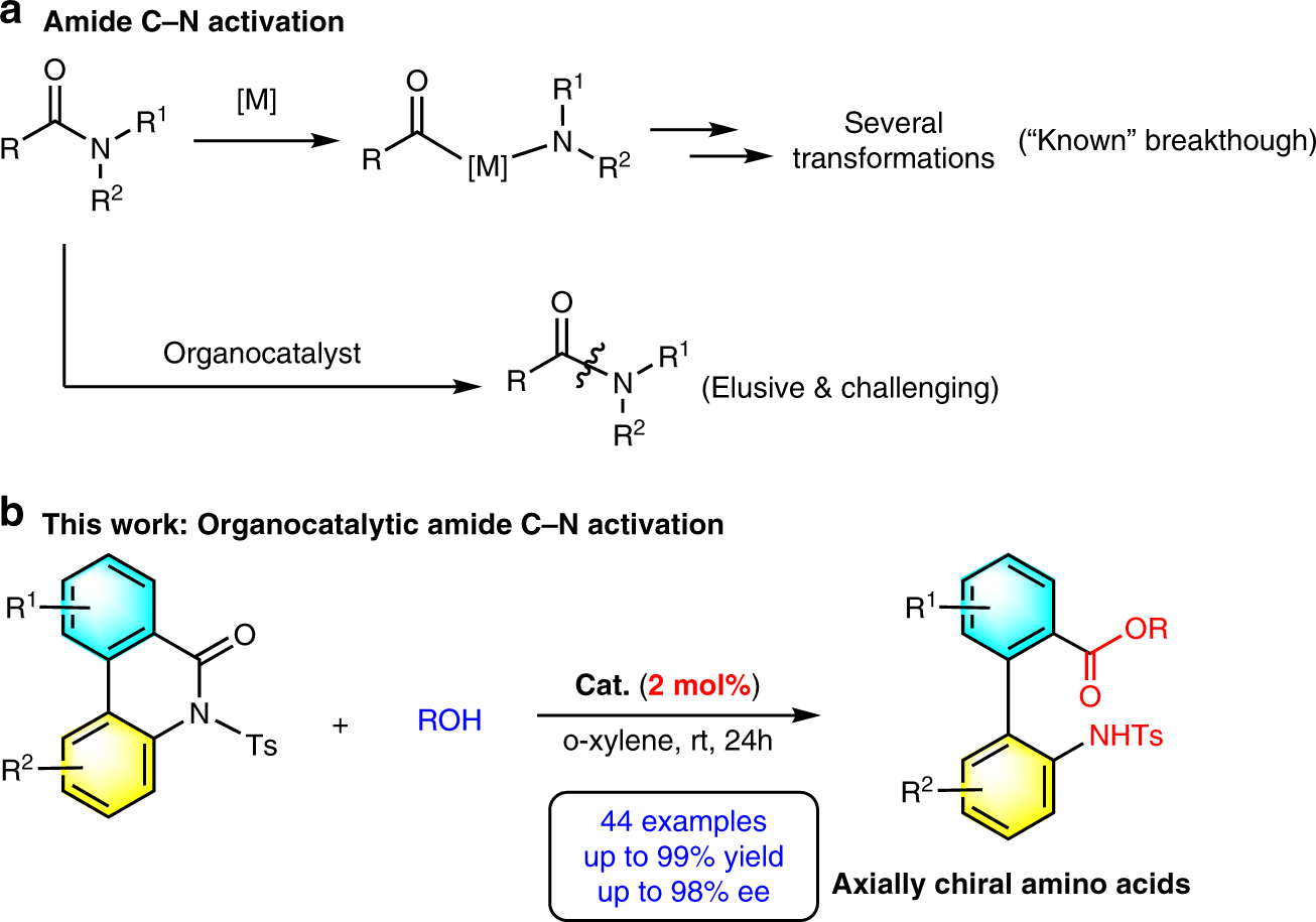 Organocatalytic Asymmetric N Sulfonyl Amide C N Bond Activation To Access Axially Chiral Biaryl Amino Acids Nature Communications
