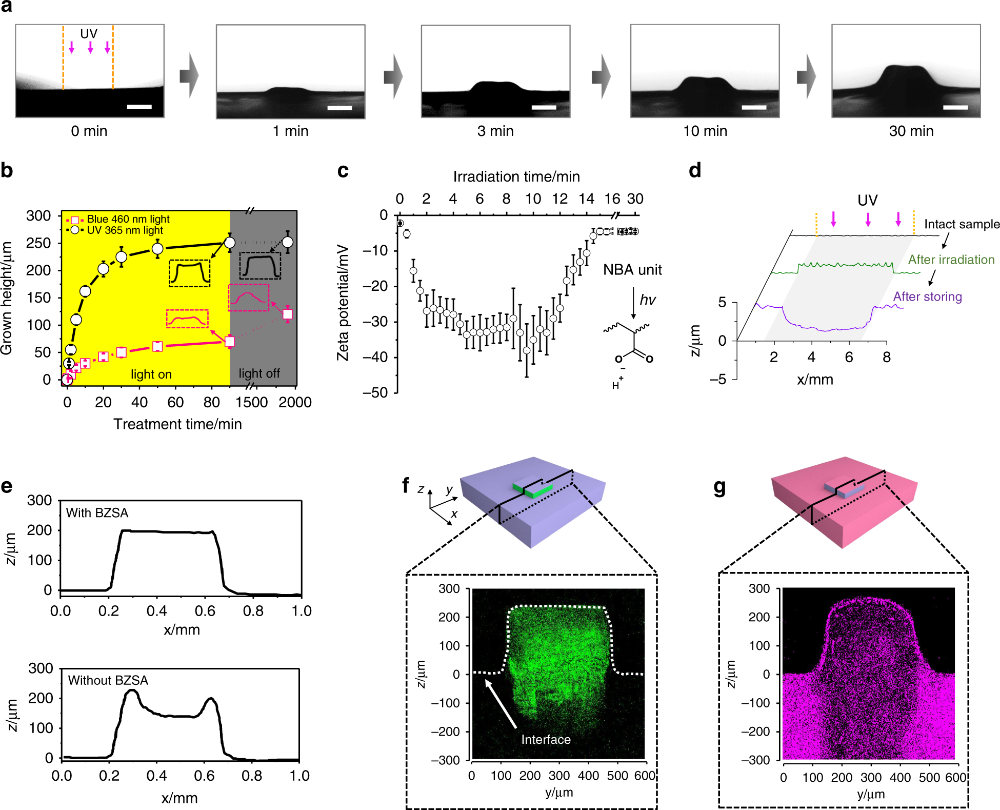 Fig. 2: Light-regulated growth from HBA-based substrates.