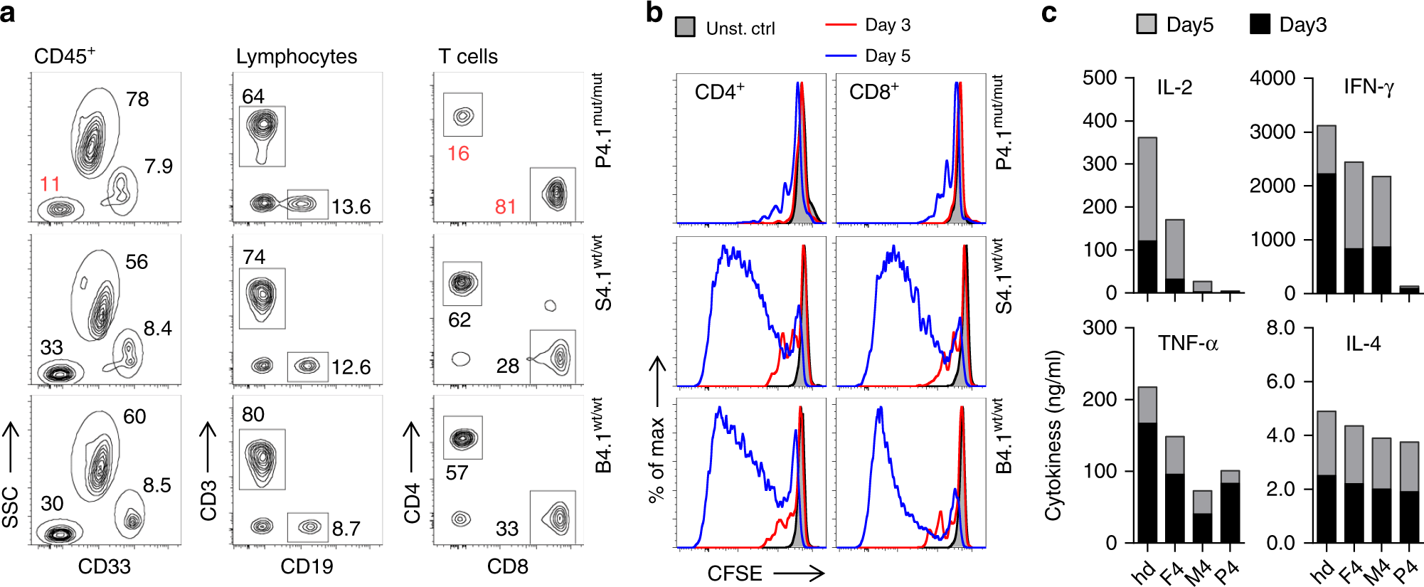 Fig. 6: Patient-associated mutation in FCHO1 gene alters development and activation of T lymphocytes.