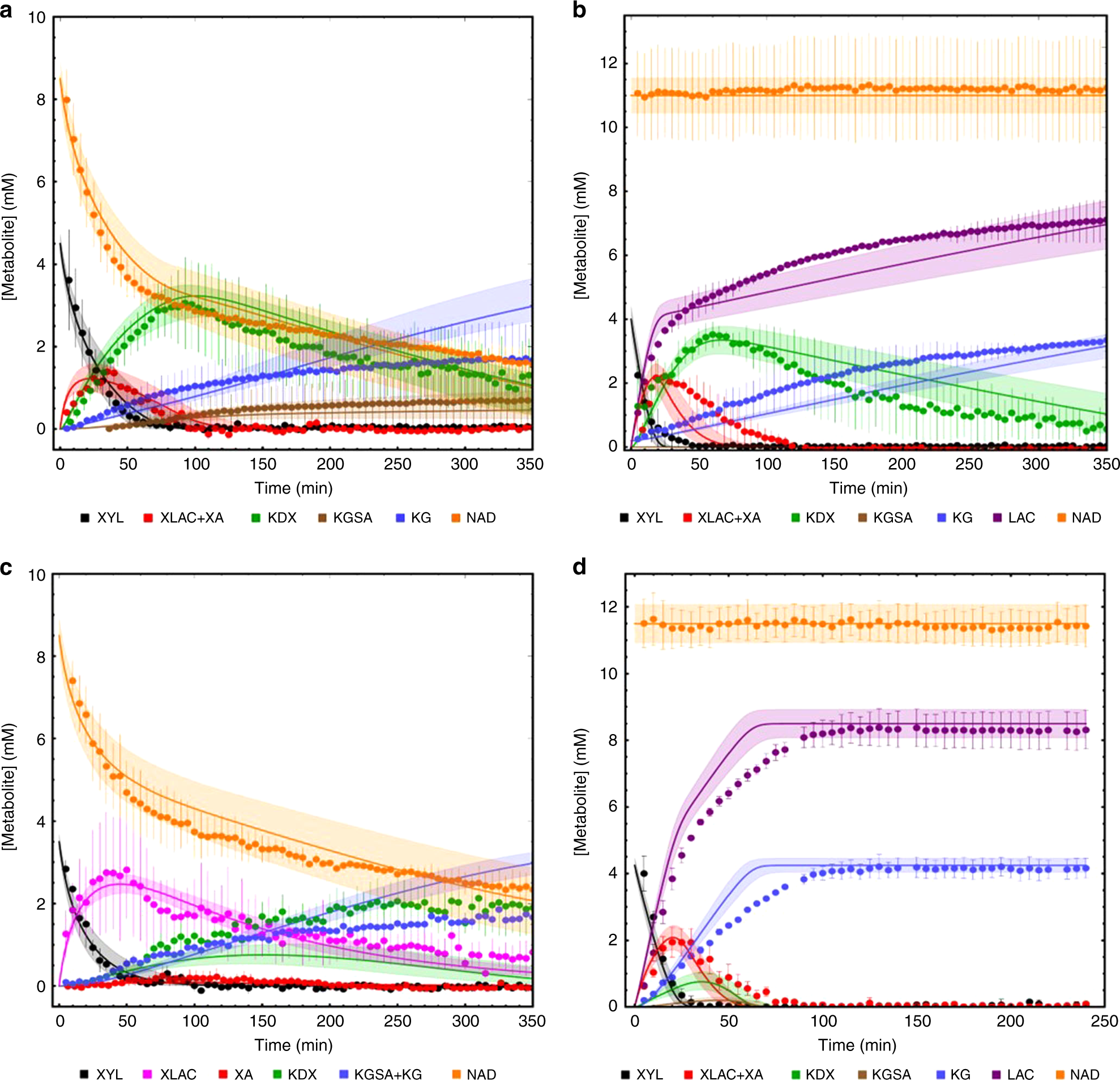 Fig. 3: Complete pathway analysis.