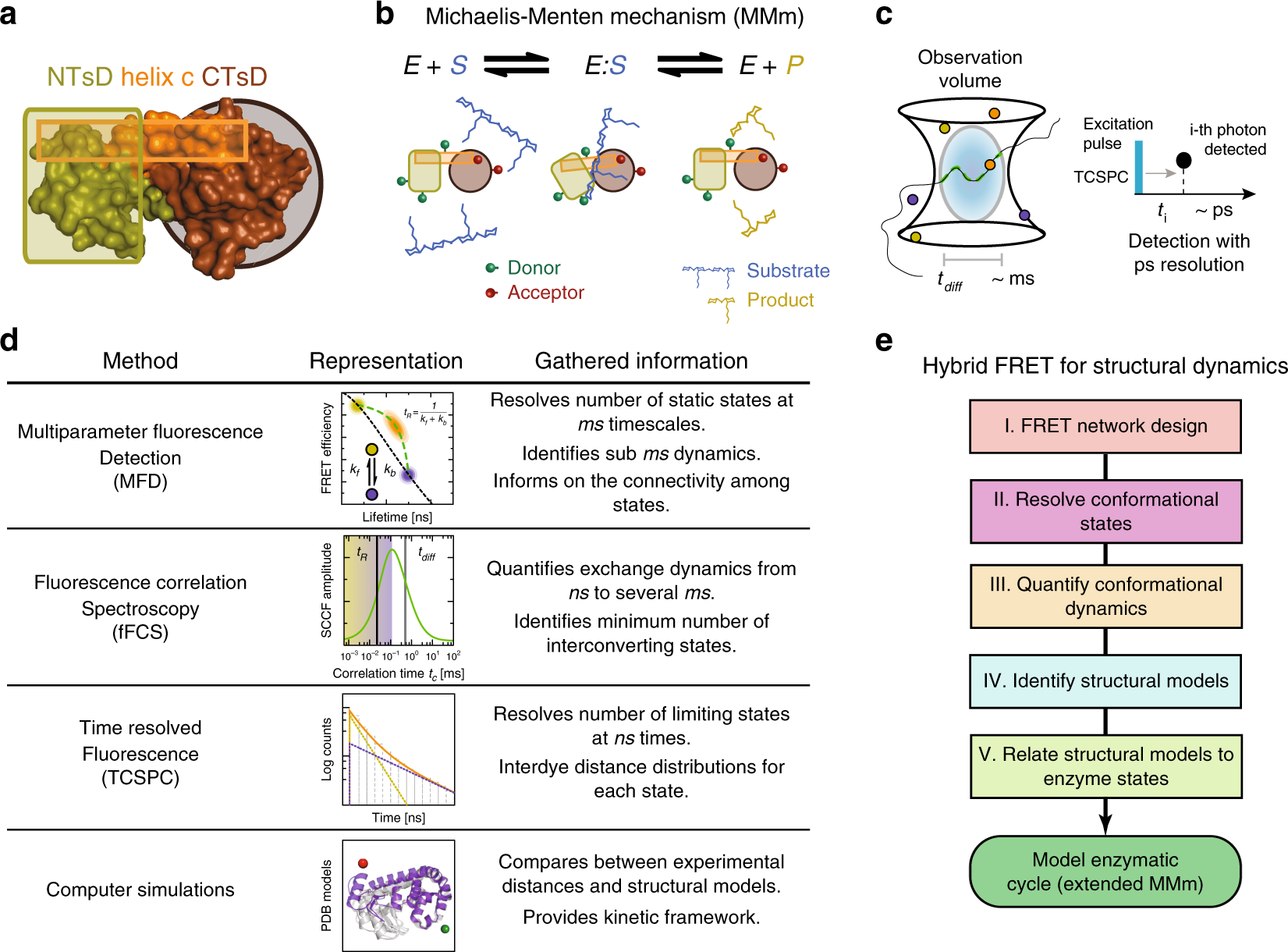 Resolving Dynamics And Function Of Transient States In Single Enzyme Molecules Nature Communications