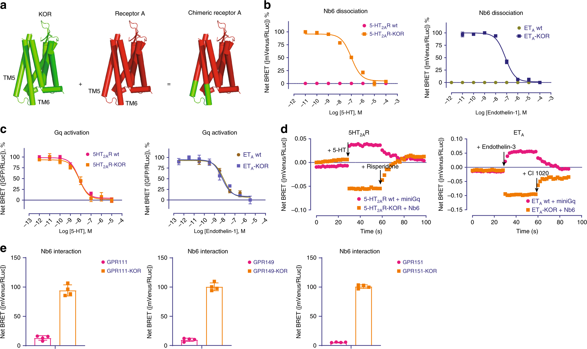 Fig. 5: The chimeric approach allows Nb6 to bind to 5-HT2AR and ETA.
