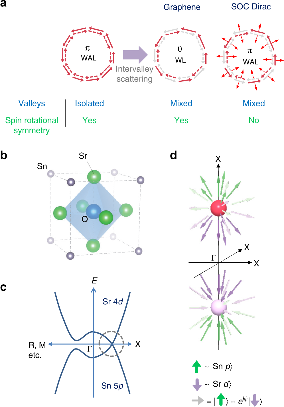 Robust weak antilocalization due to spin-orbital entanglement in Dirac  material Sr3SnO