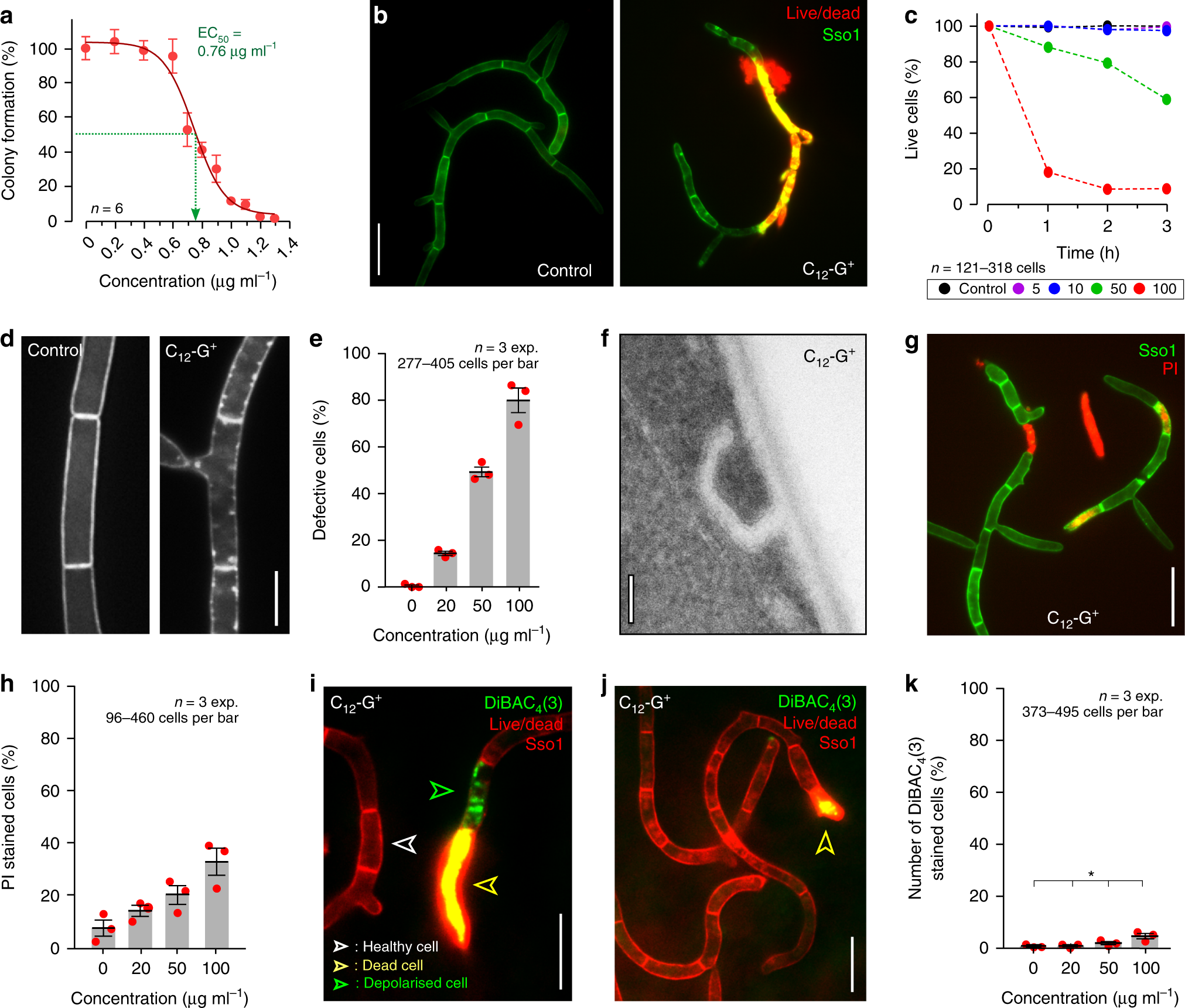A lipophilic cation protects crops against fungal pathogens by multiple modes of action | Nature Communications A lipophilic cation protects crops against fungal pathogens by multiple modes of action | Nature Communications