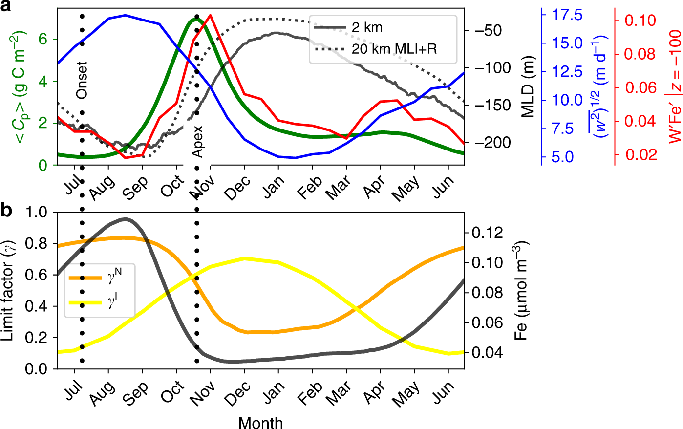 Fig. 2: Time series of the daily-mean vertically integrated phytoplankton biomass (〈Cp〉; green), daily mean of MLD for the 2 km (black solid) and 20 km MLI+R run (black dotted) averaged over the meridional extent of y  = 600–1400 km.