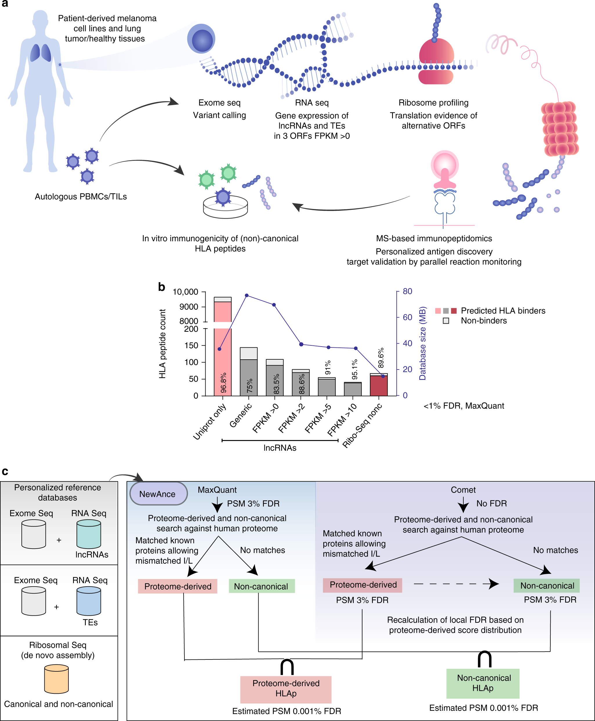 Integrated proteogenomic deep sequencing and analytics accurately identify  non-canonical peptides in tumor immunopeptidomes | Nature Communications