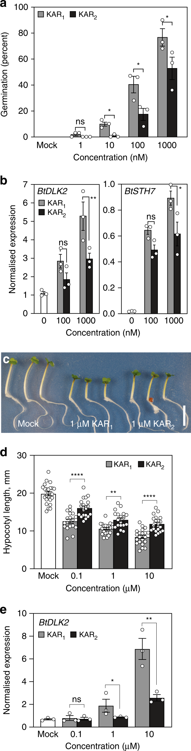 Fig. 1: Brassica tournefortii is highly sensitive to KAR1, the major karrikin analogue isolated from plant-derived smoke.