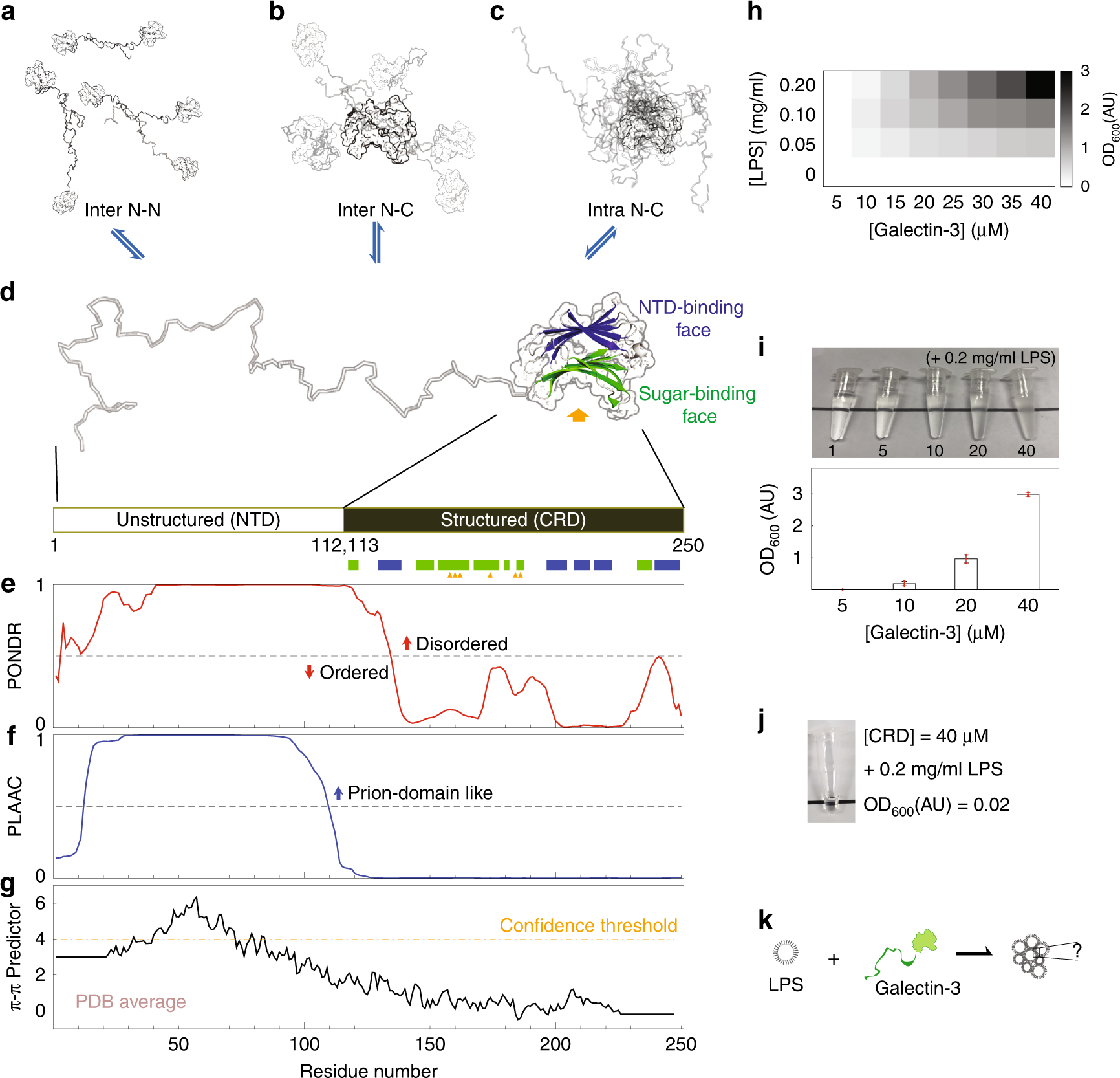 Fig. 1: Galectin-3 structure, sequence analysis and lipopolysaccharide (LPS) assay.