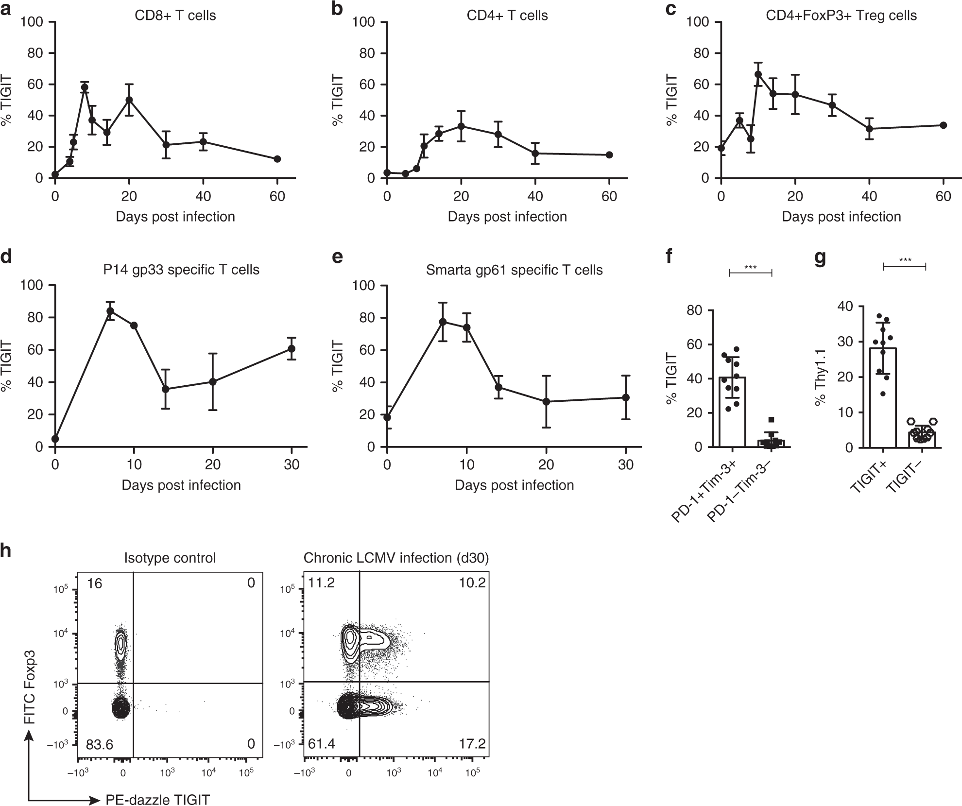 Fig. 1: TIGIT expression during chronic LCMV clone 13 infection.