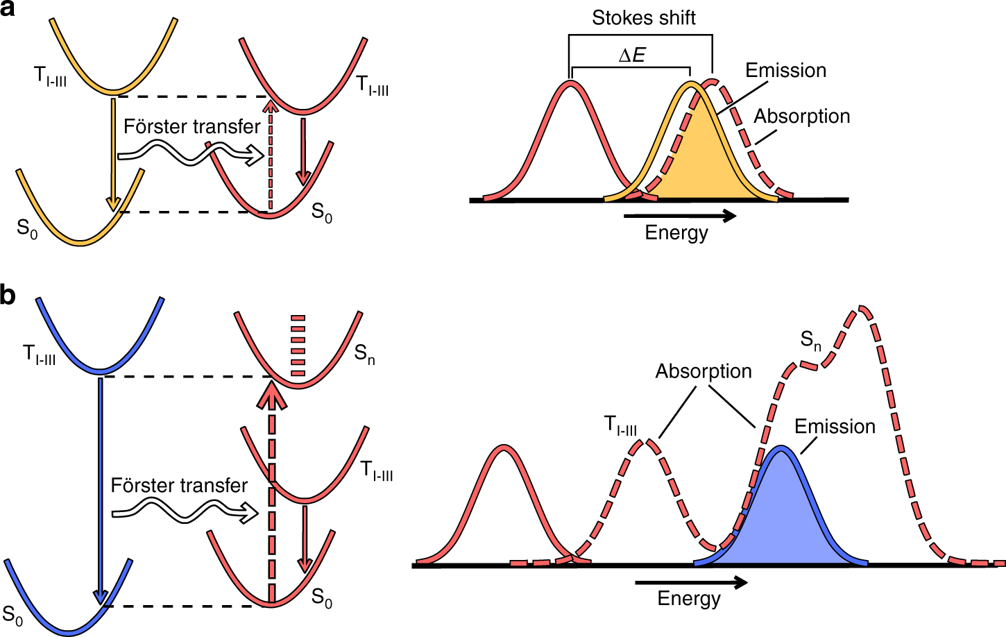 Fig. 1: Schematic depiction of the exothermic Förster transfer mechanism studied in this work.