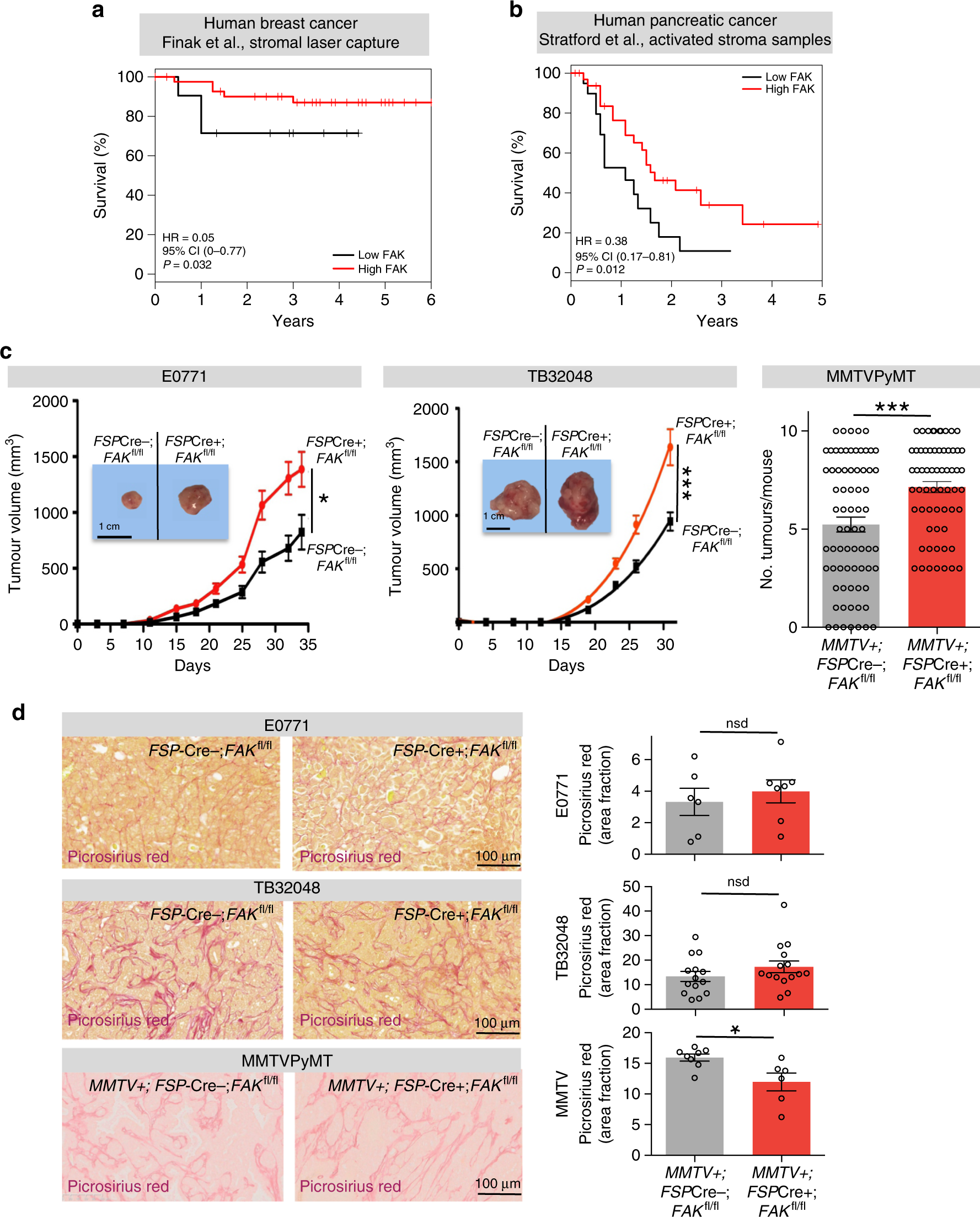 Cancer associated fibroblast FAK regulates malignant cell metabolism |  Nature Communications