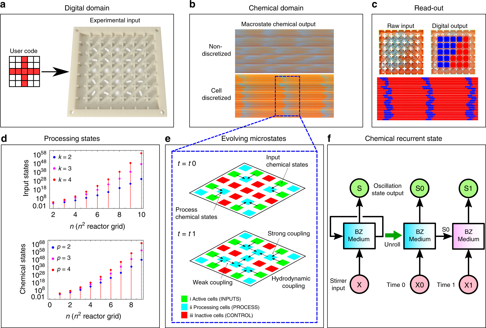 Fig. 1: Chemical processor paradigm.
