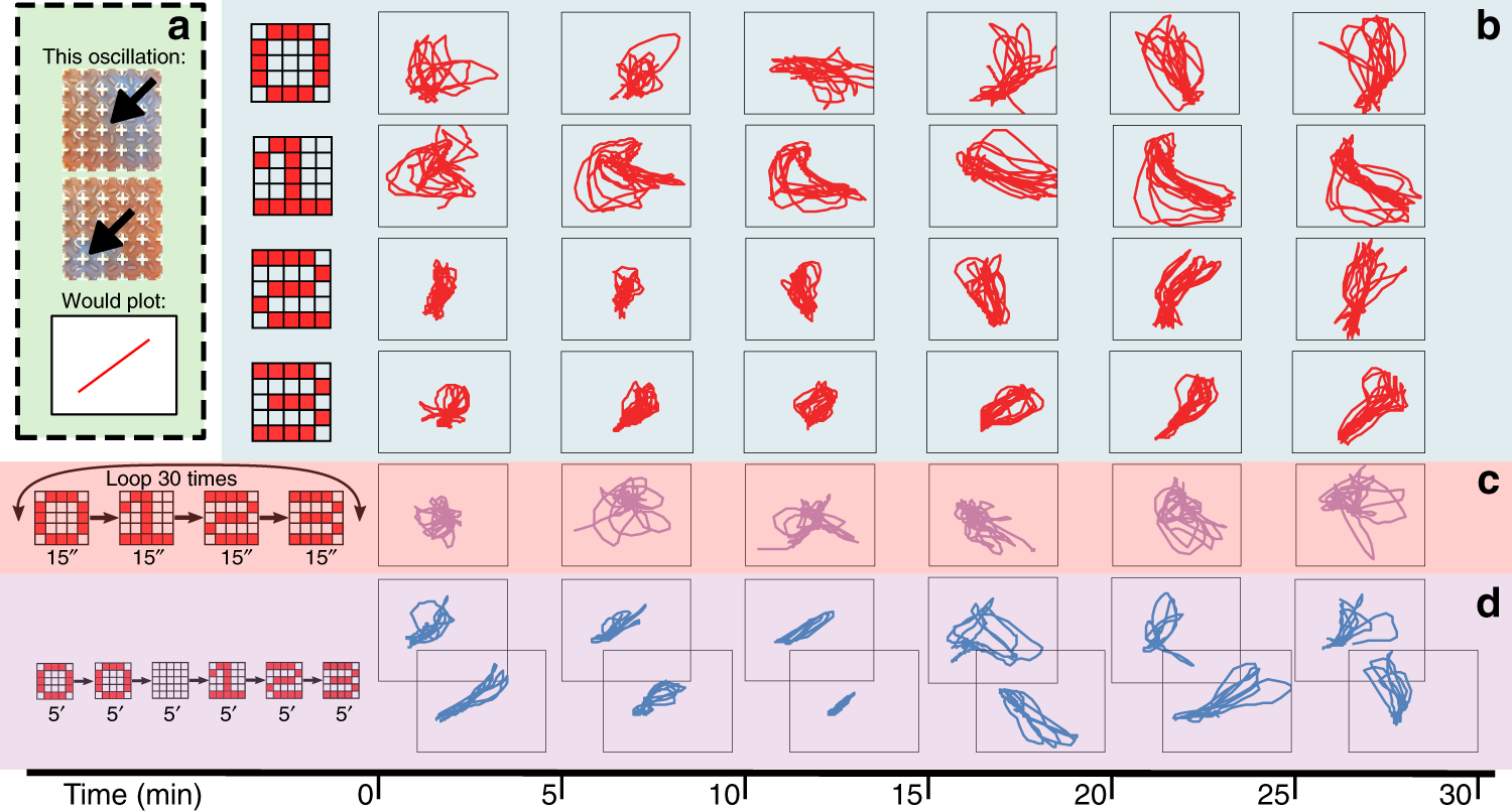 Fig. 3: Programming the platform by introducing different input patterns during execution.